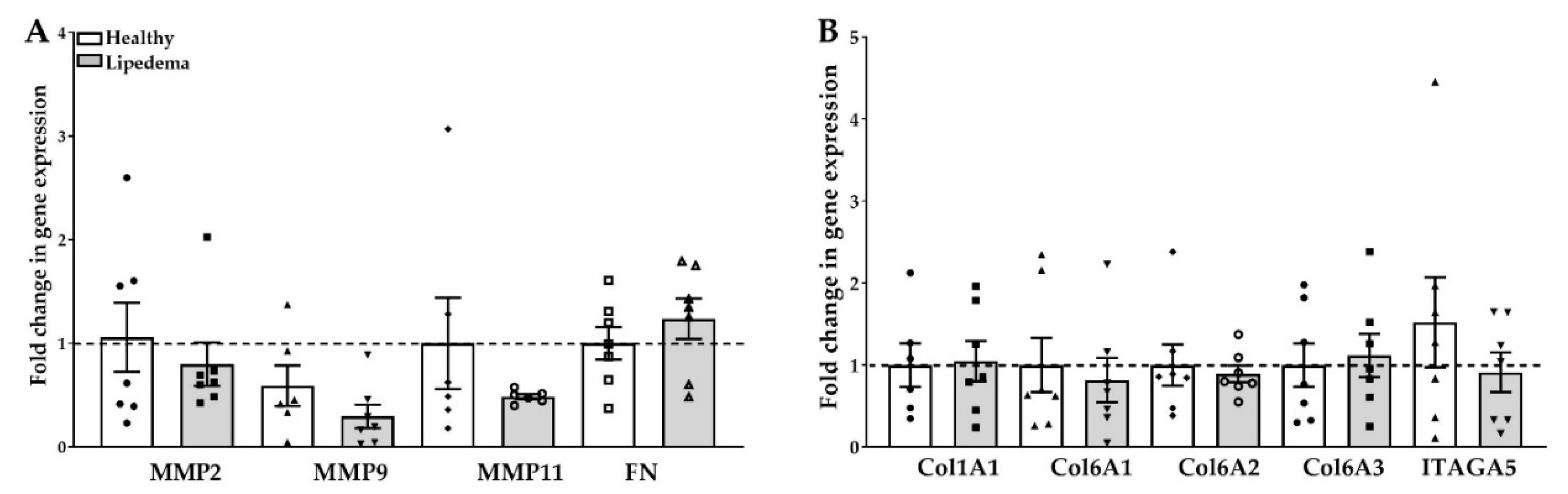 Ijms 21 08350 g004 Ijms 21 08350 g004