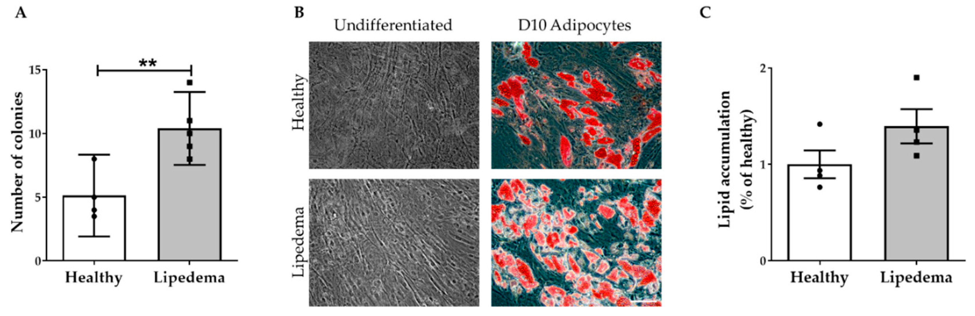 Ijms 21 08350 g006 Ijms 21 08350 g006