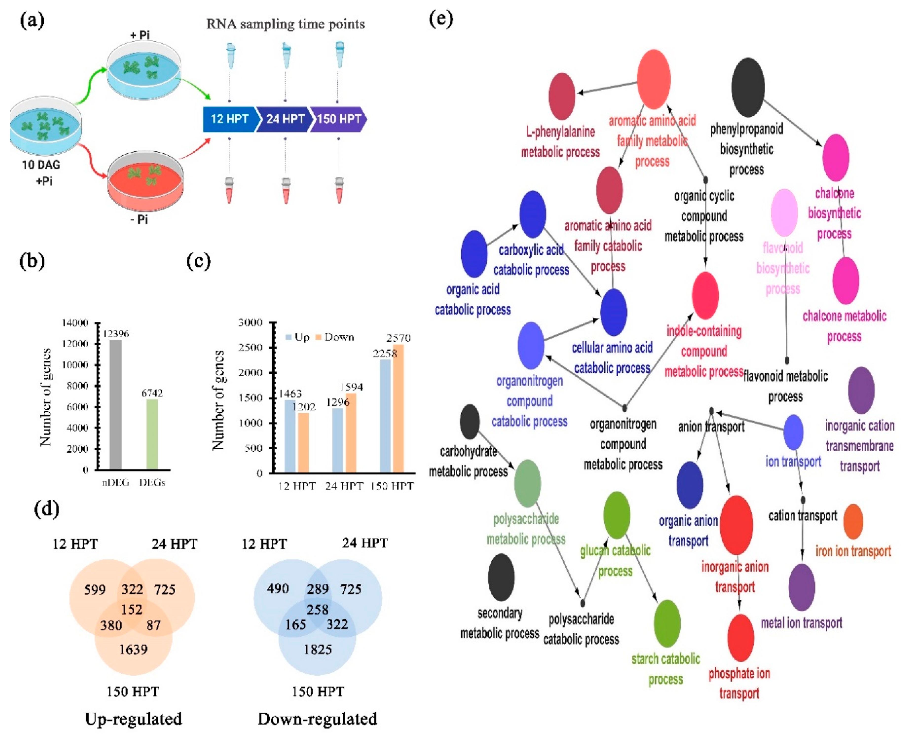 Ijms 21 08354 g003 Ijms 21 08354 g003