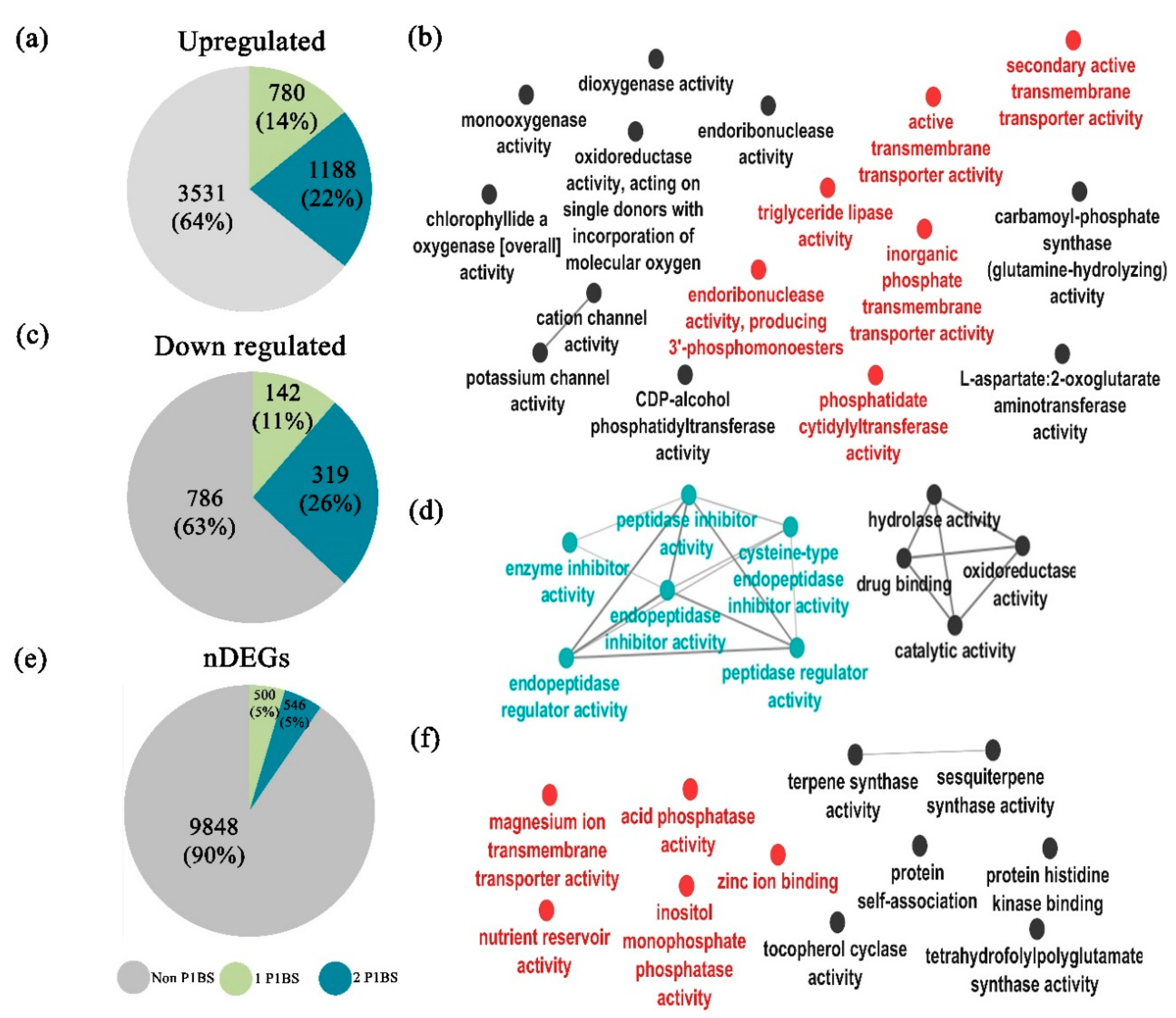 Ijms 21 08354 g005 Ijms 21 08354 g005