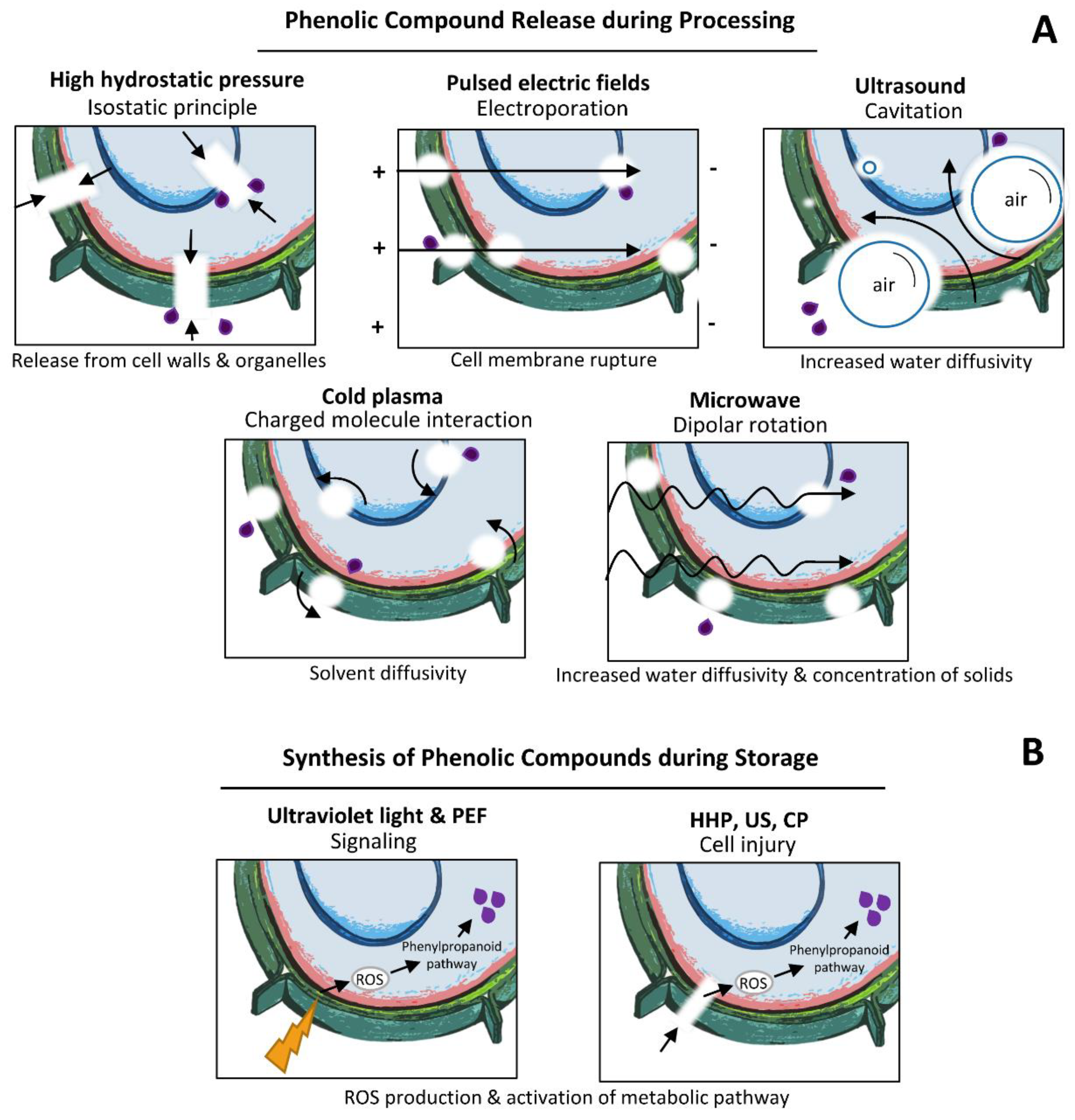 Ijms 21 08357 g001 Ijms 21 08357 g001