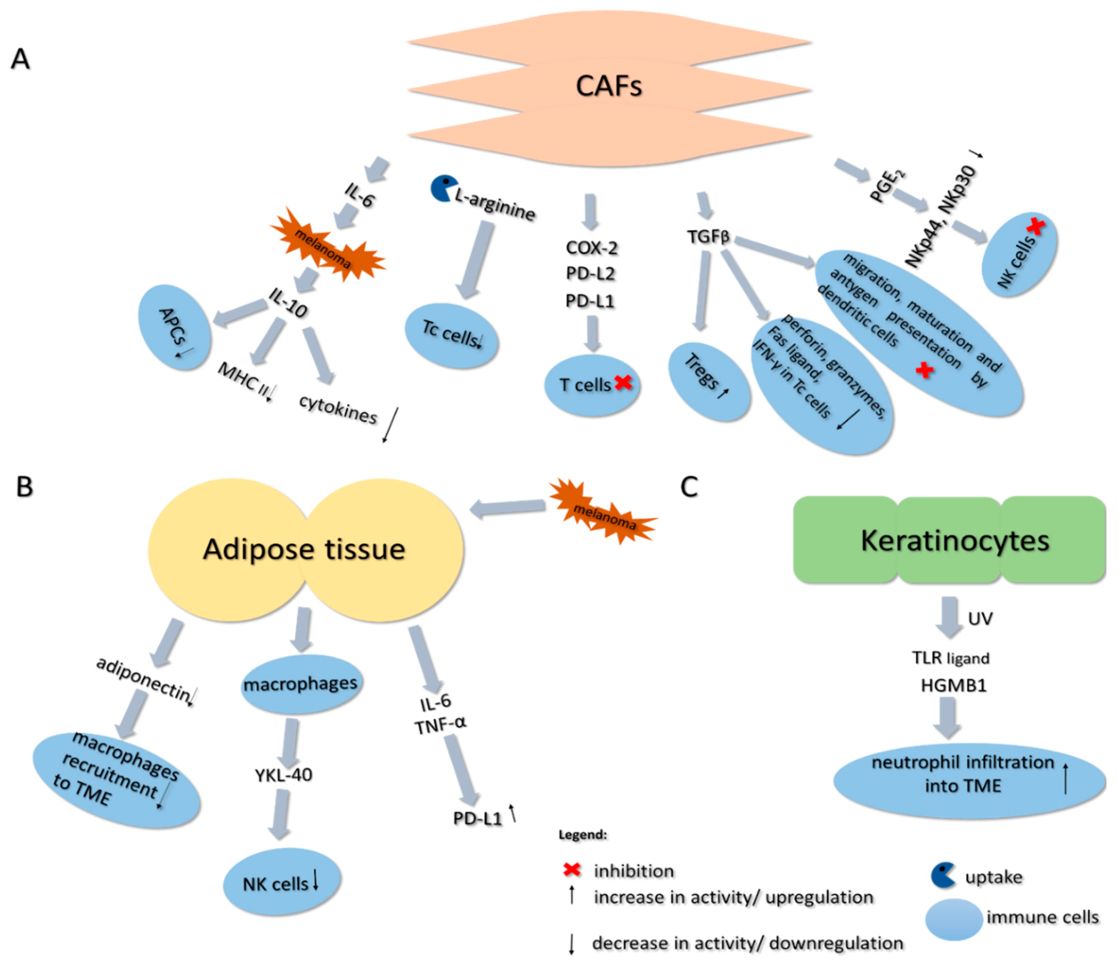 Ijms 21 08359 g002 Ijms 21 08359 g002