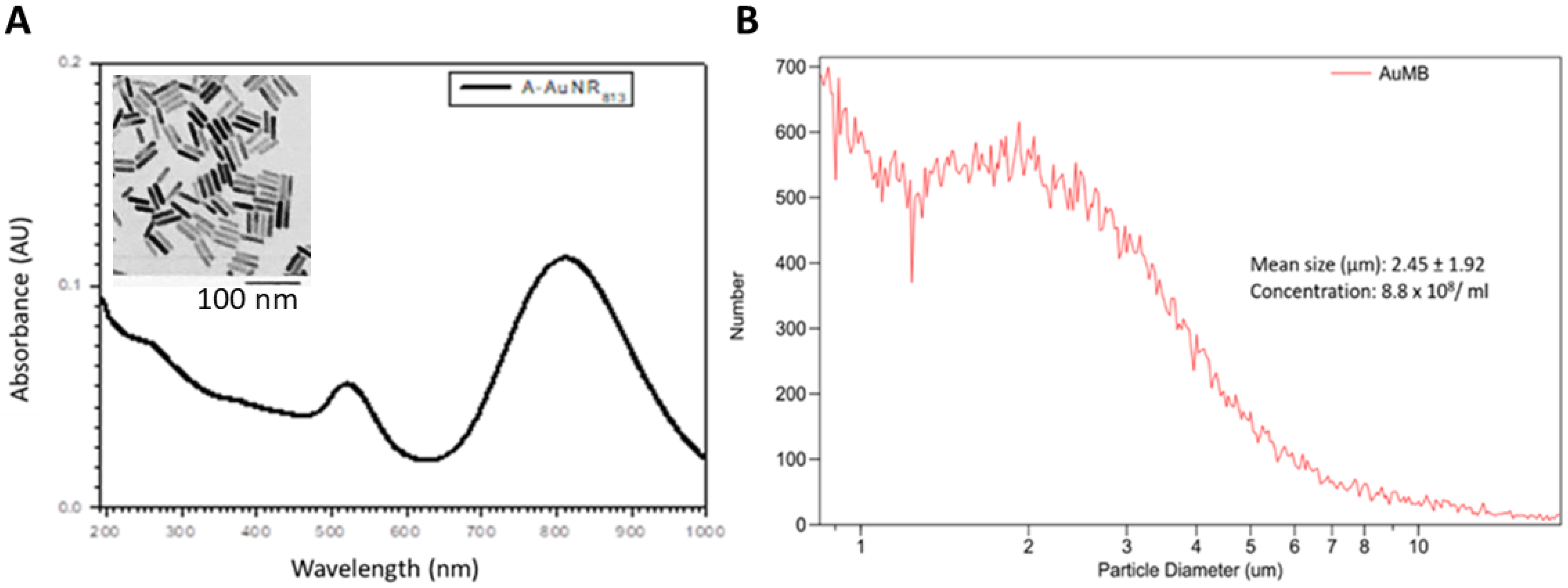 Ijms 21 08370 g002 Ijms 21 08370 g002