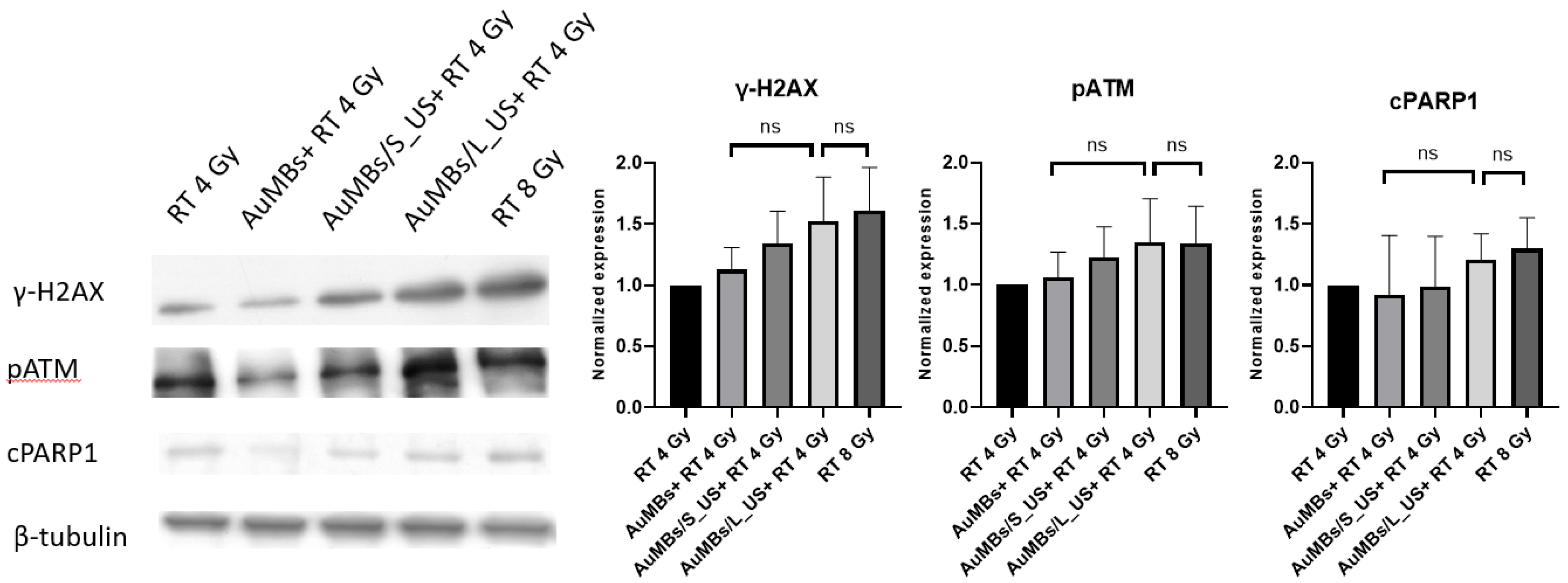 Ijms 21 08370 g007 Ijms 21 08370 g007