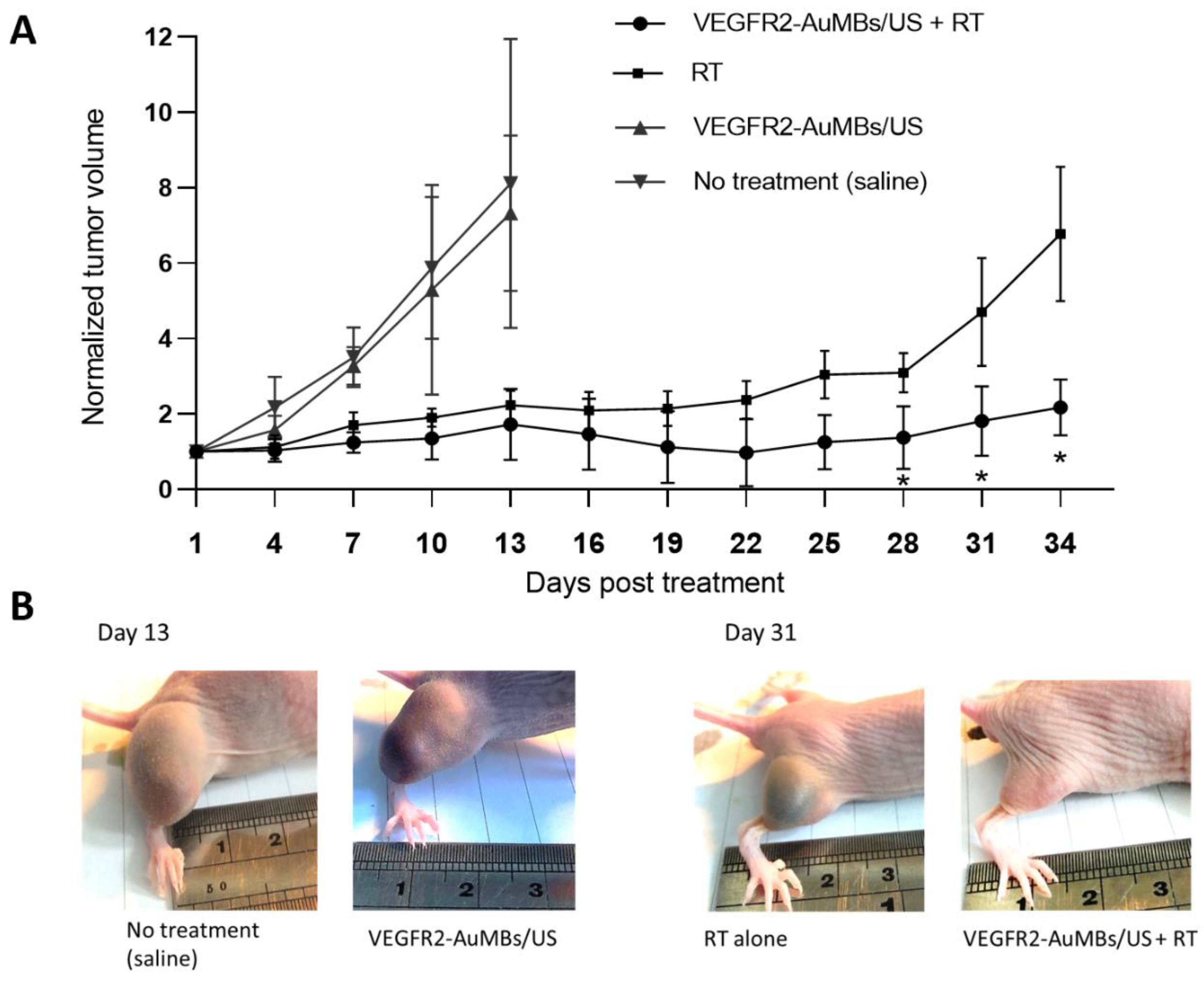 Ijms 21 08370 g009 Ijms 21 08370 g009