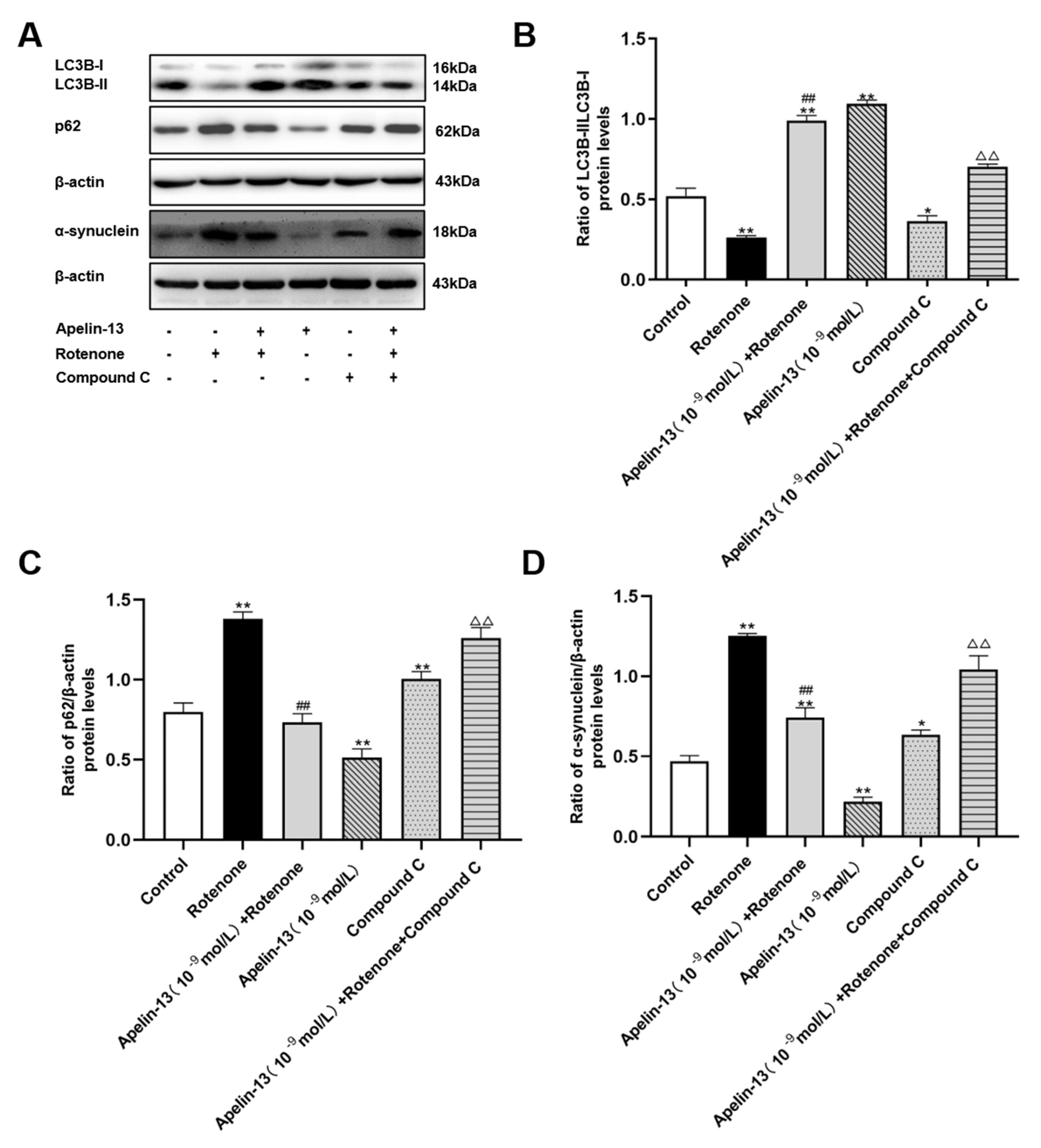 Ijms 21 08376 g008 Ijms 21 08376 g008