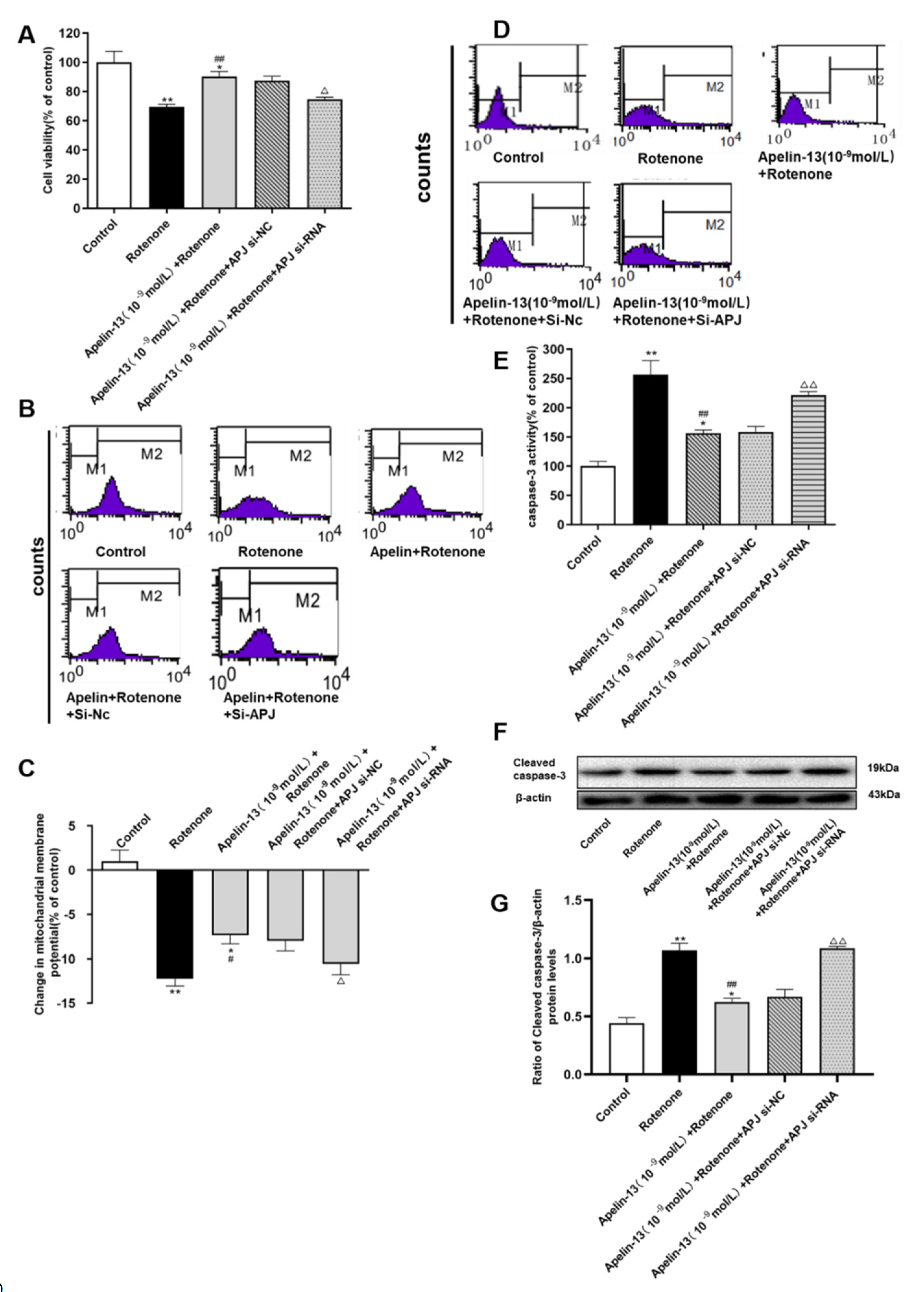 Ijms 21 08376 g012 Ijms 21 08376 g012