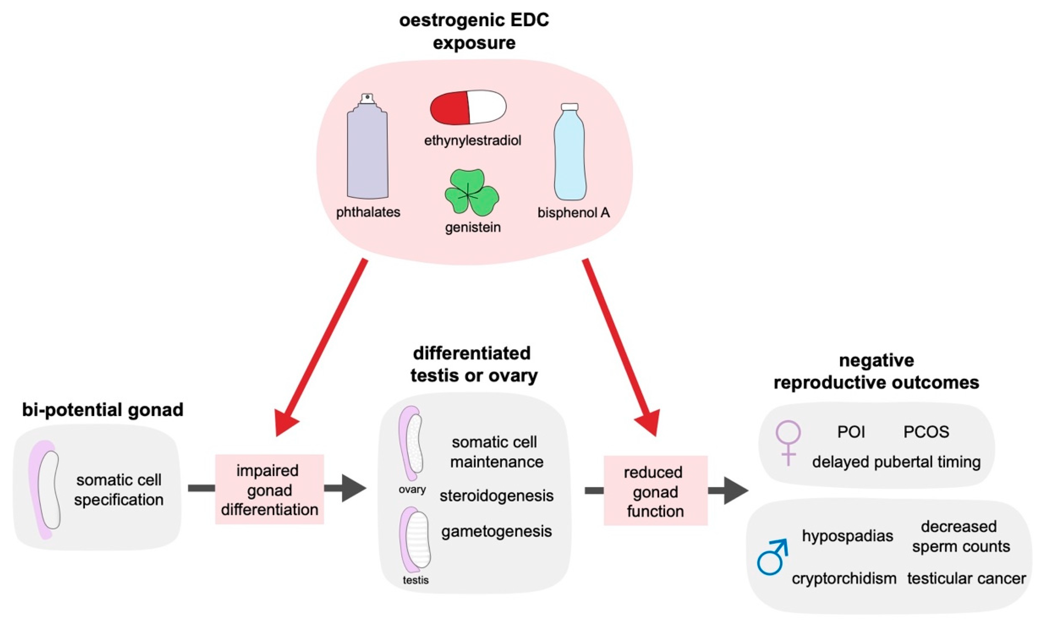 Ijms 21 08377 g001 Ijms 21 08377 g001