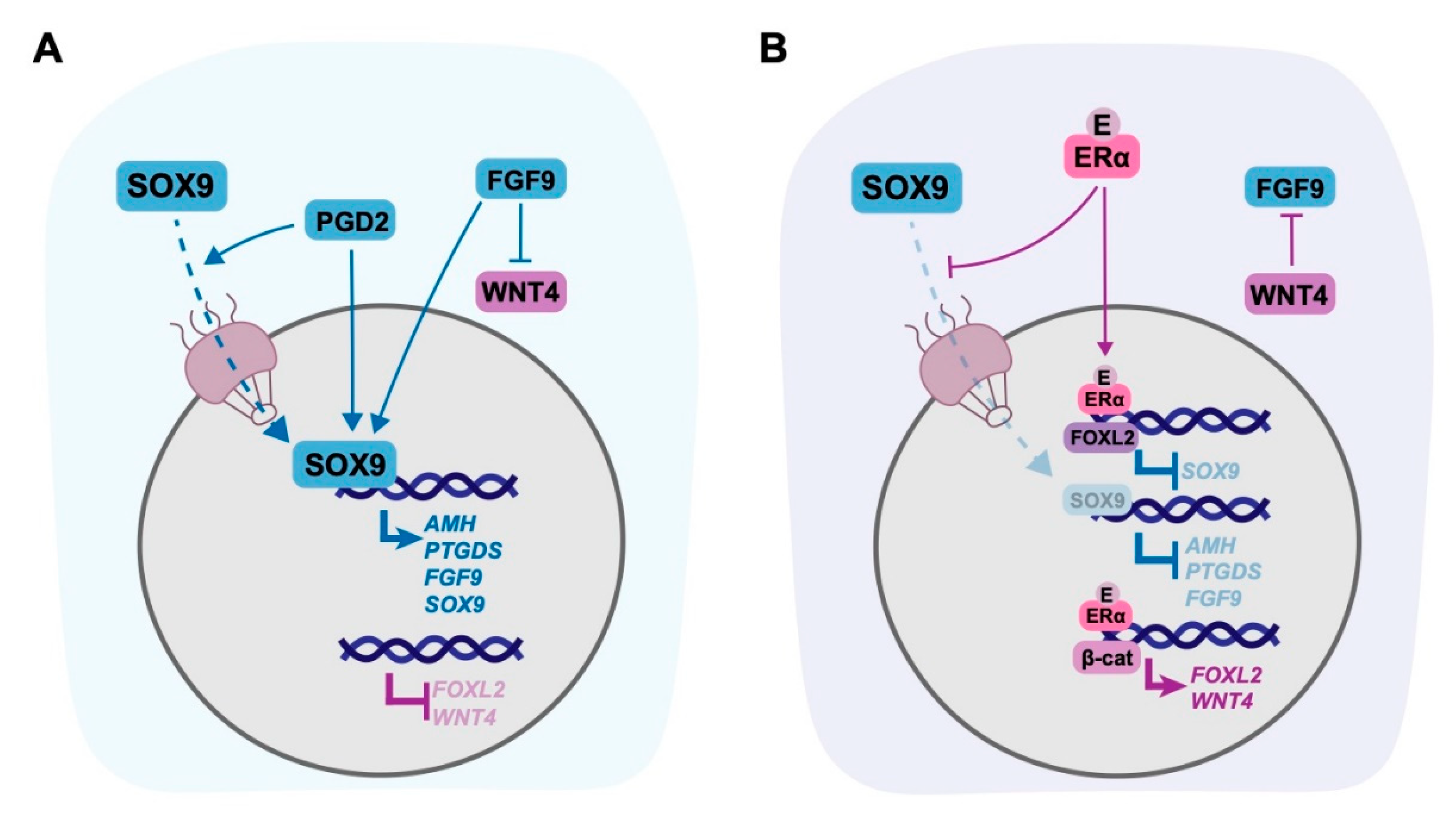 Ijms 21 08377 g004 Ijms 21 08377 g004