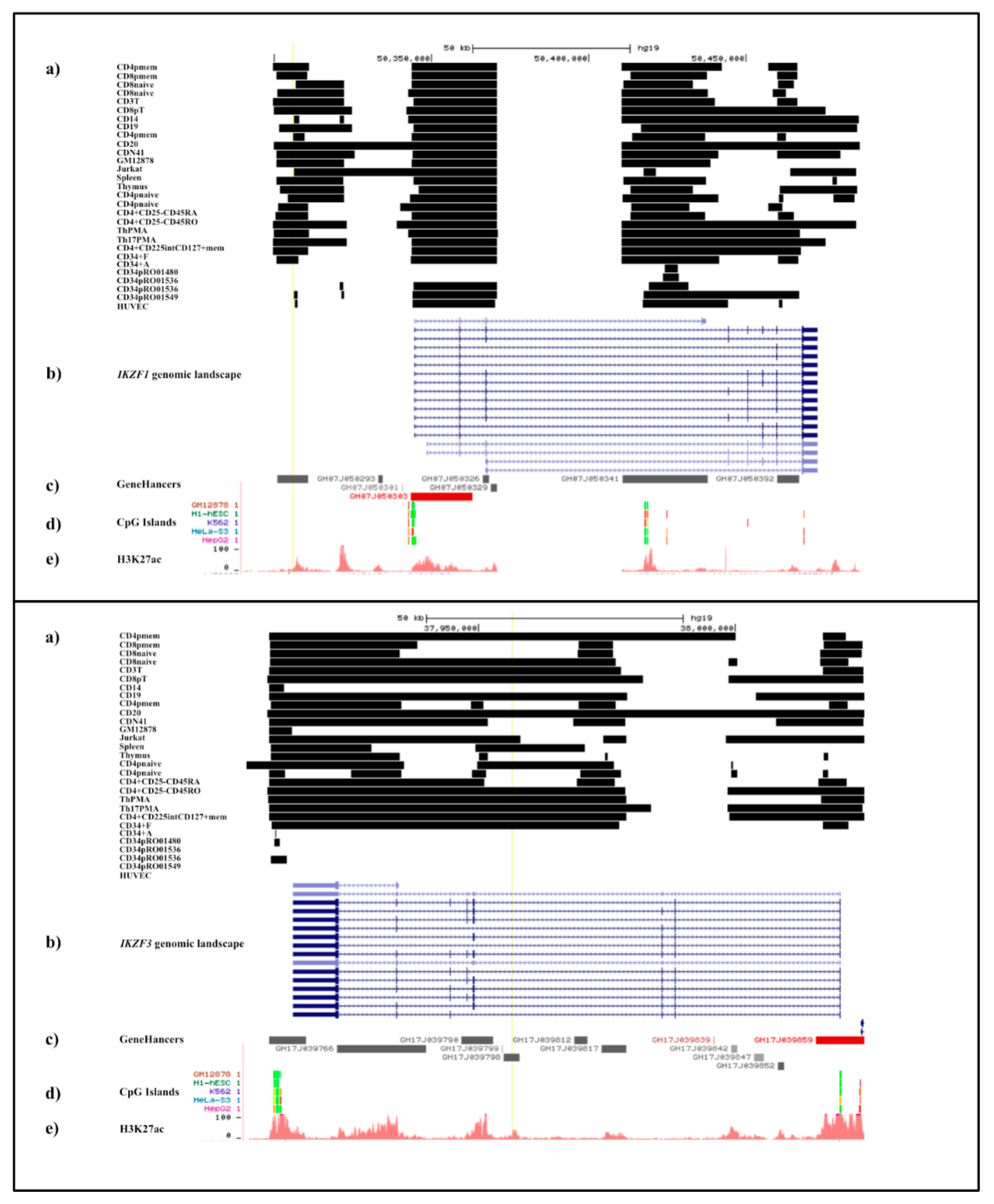 その他 rufus lupus 28 Canis Lupus Rufus Royalty-Free Images, Stock Photos