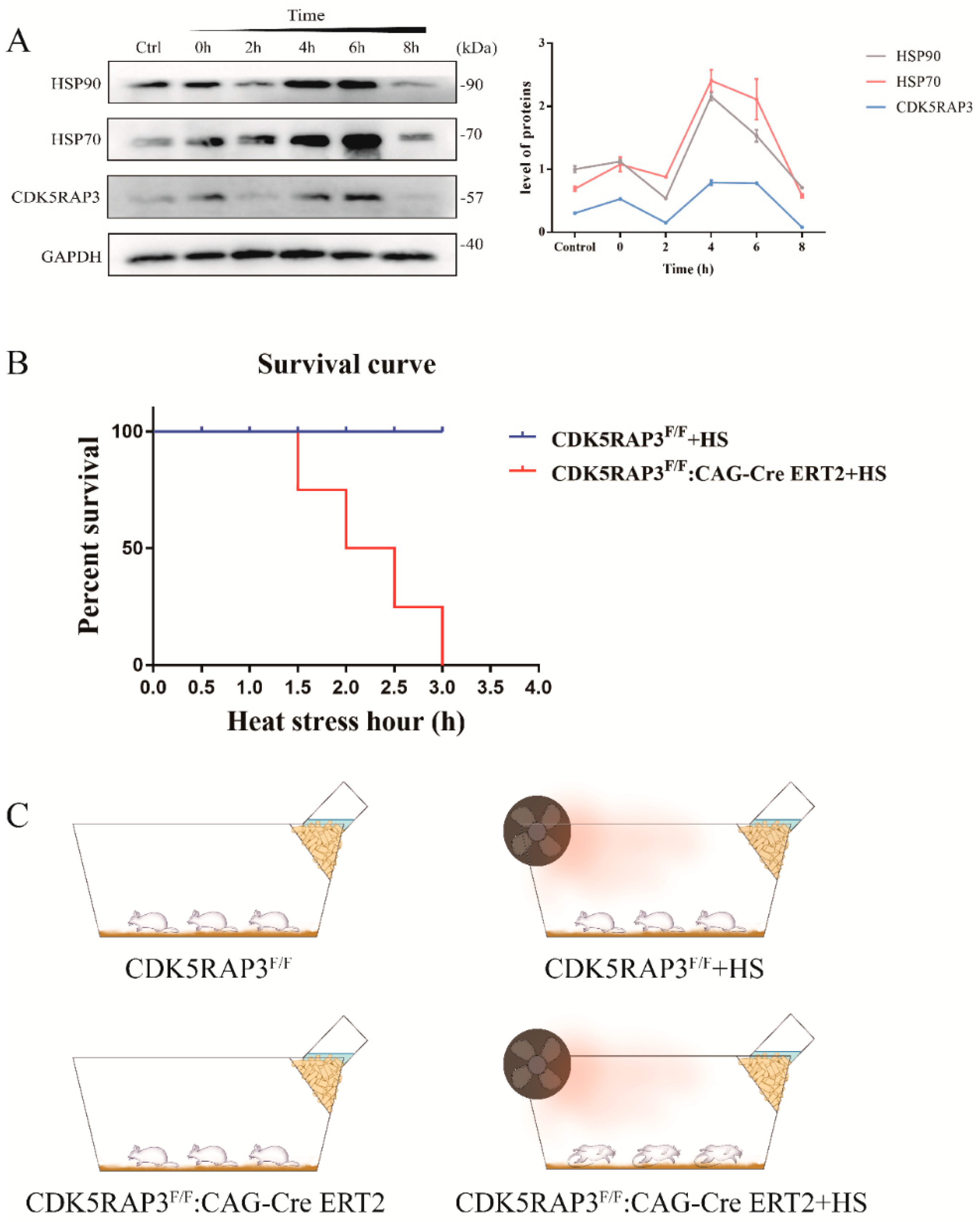 Ijms 21 08400 g001 Ijms 21 08400 g001