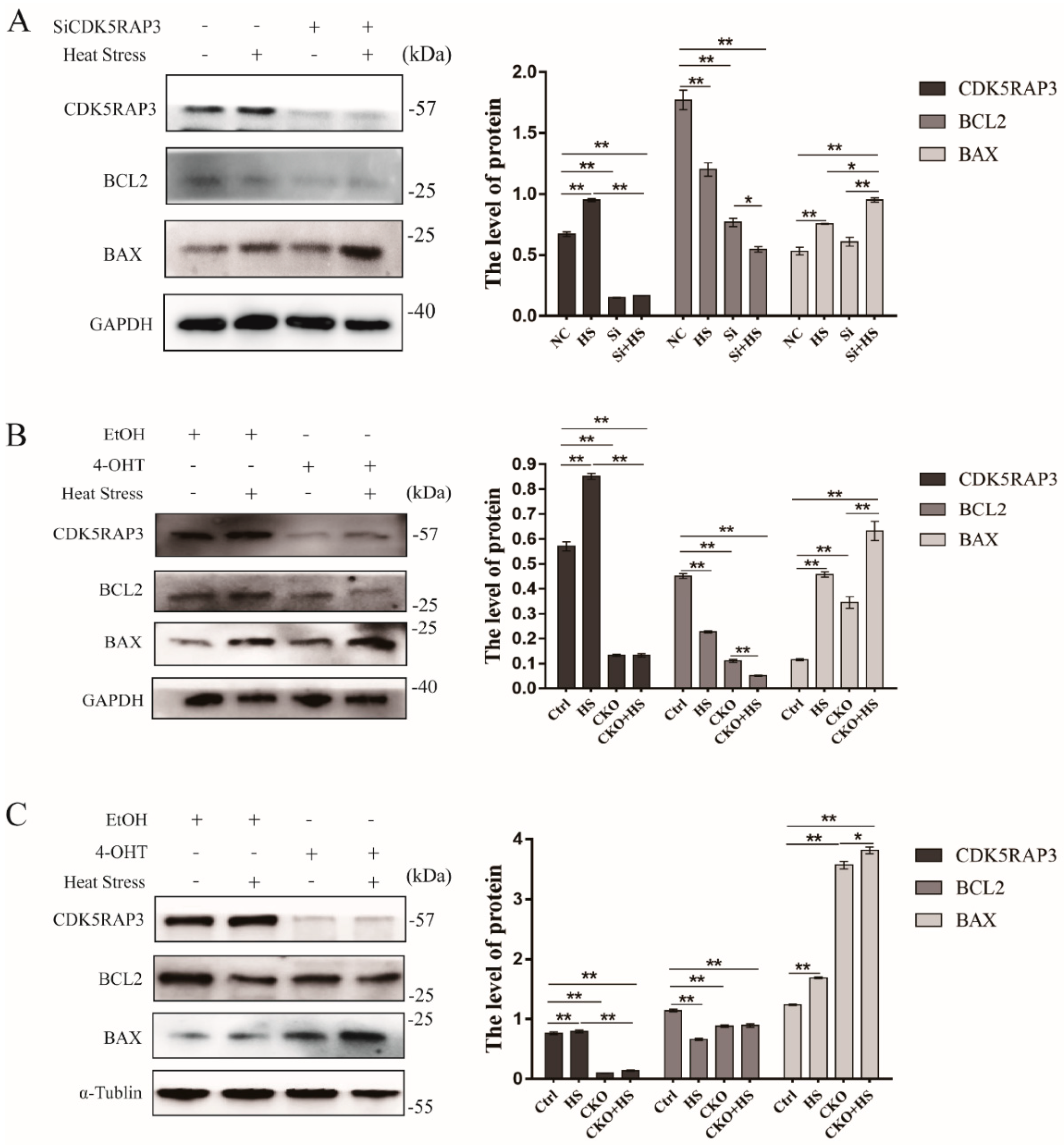 Ijms 21 08400 g002 Ijms 21 08400 g002