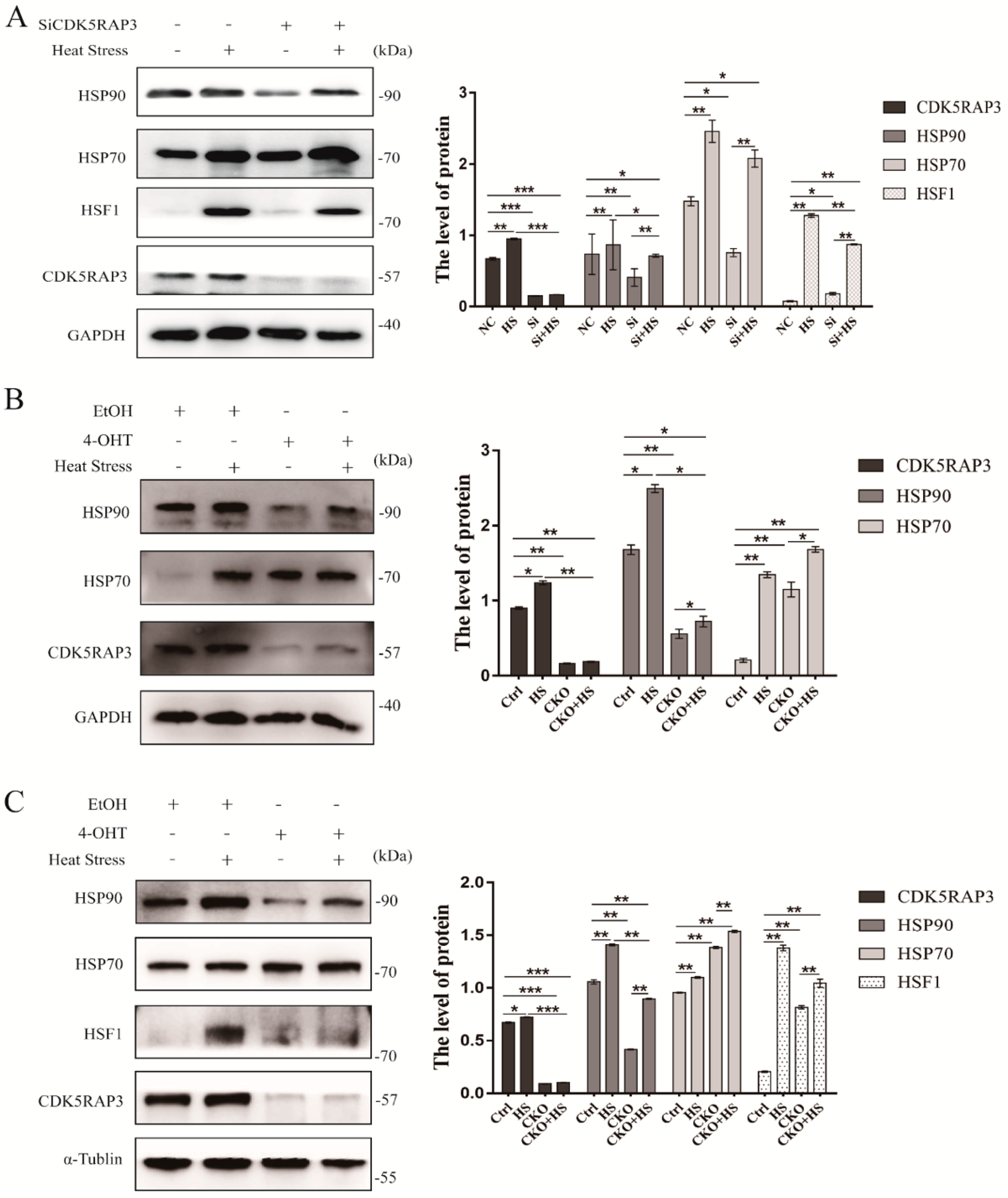 Ijms 21 08400 g003 Ijms 21 08400 g003