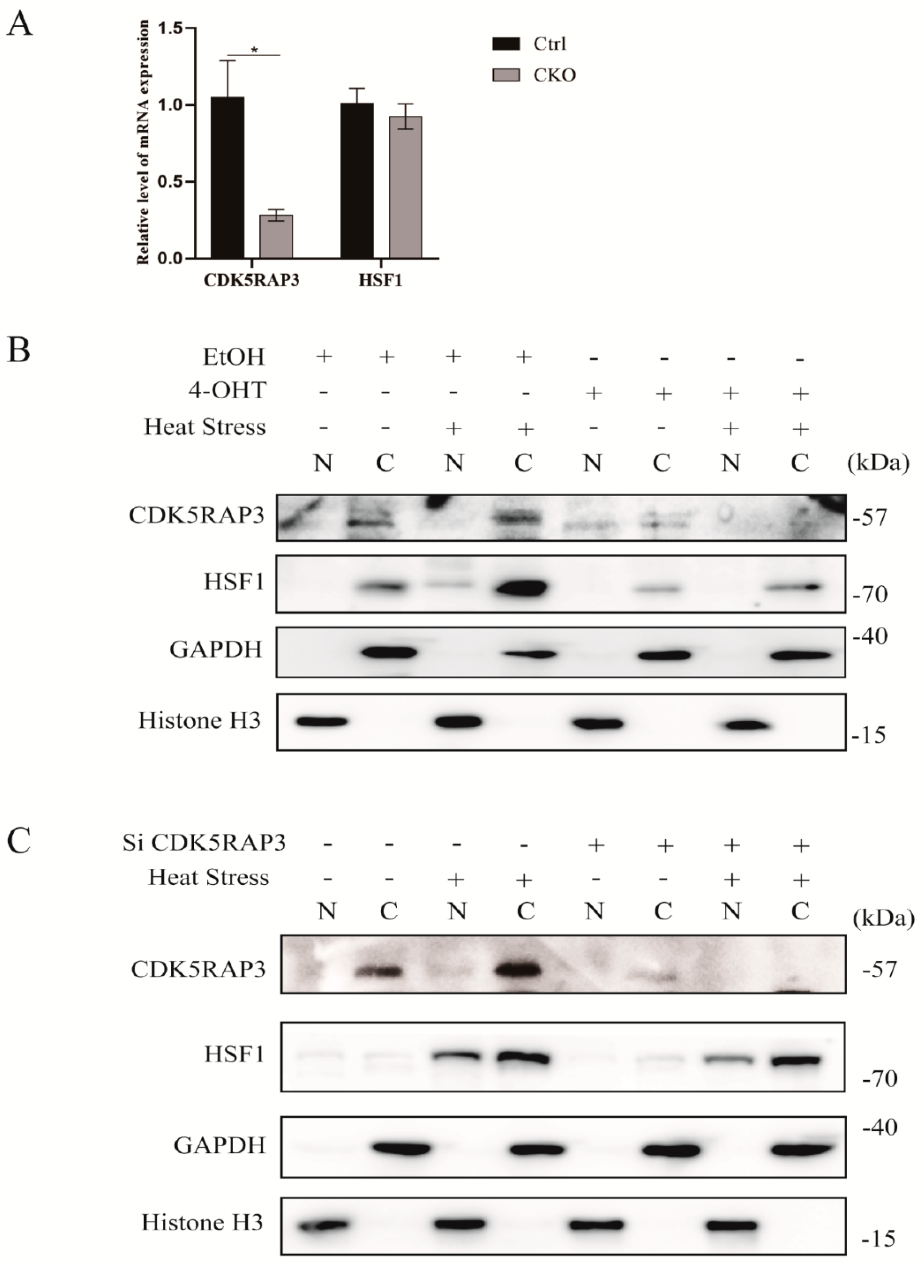 Ijms 21 08400 g004 Ijms 21 08400 g004