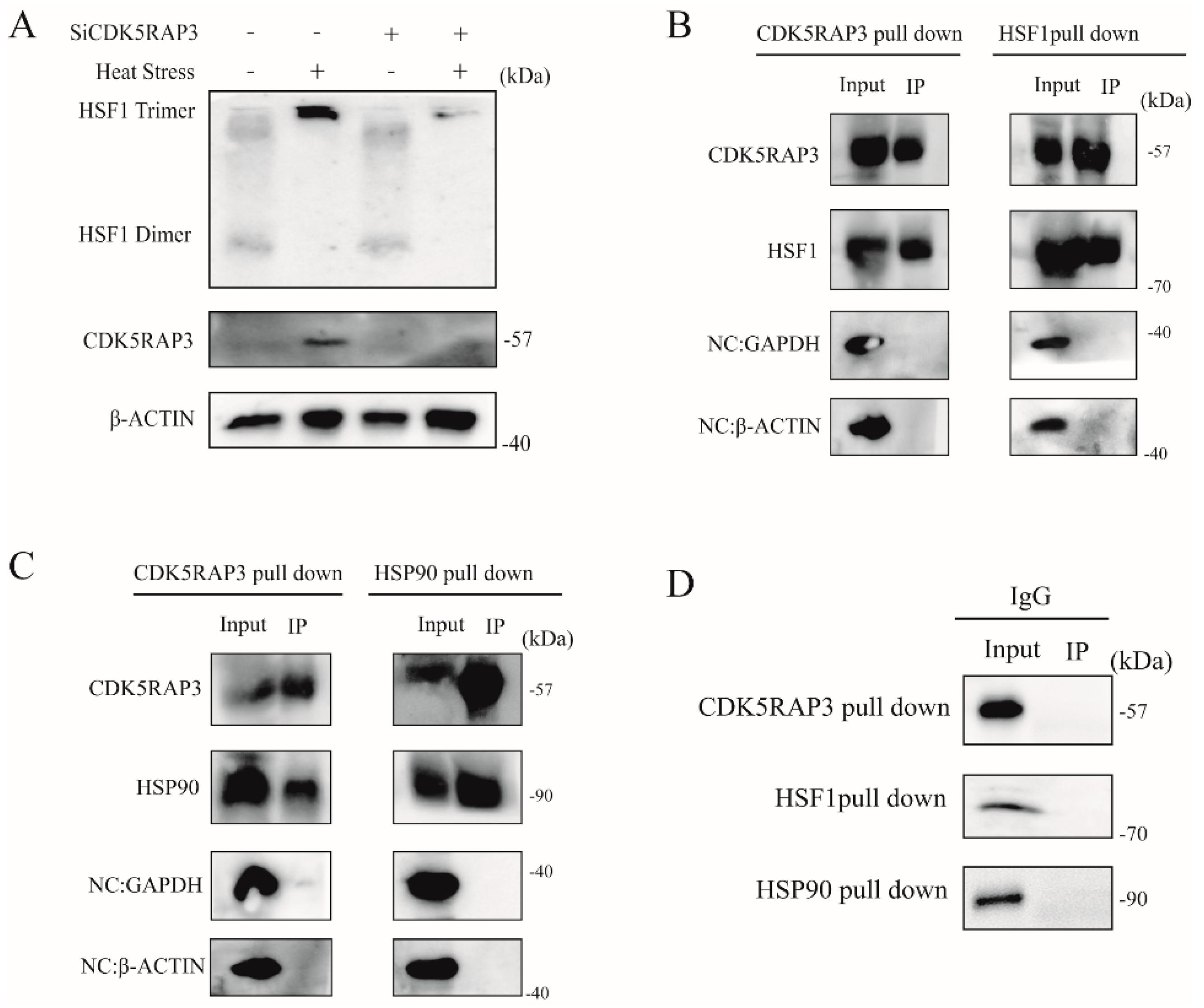 Ijms 21 08400 g005 Ijms 21 08400 g005