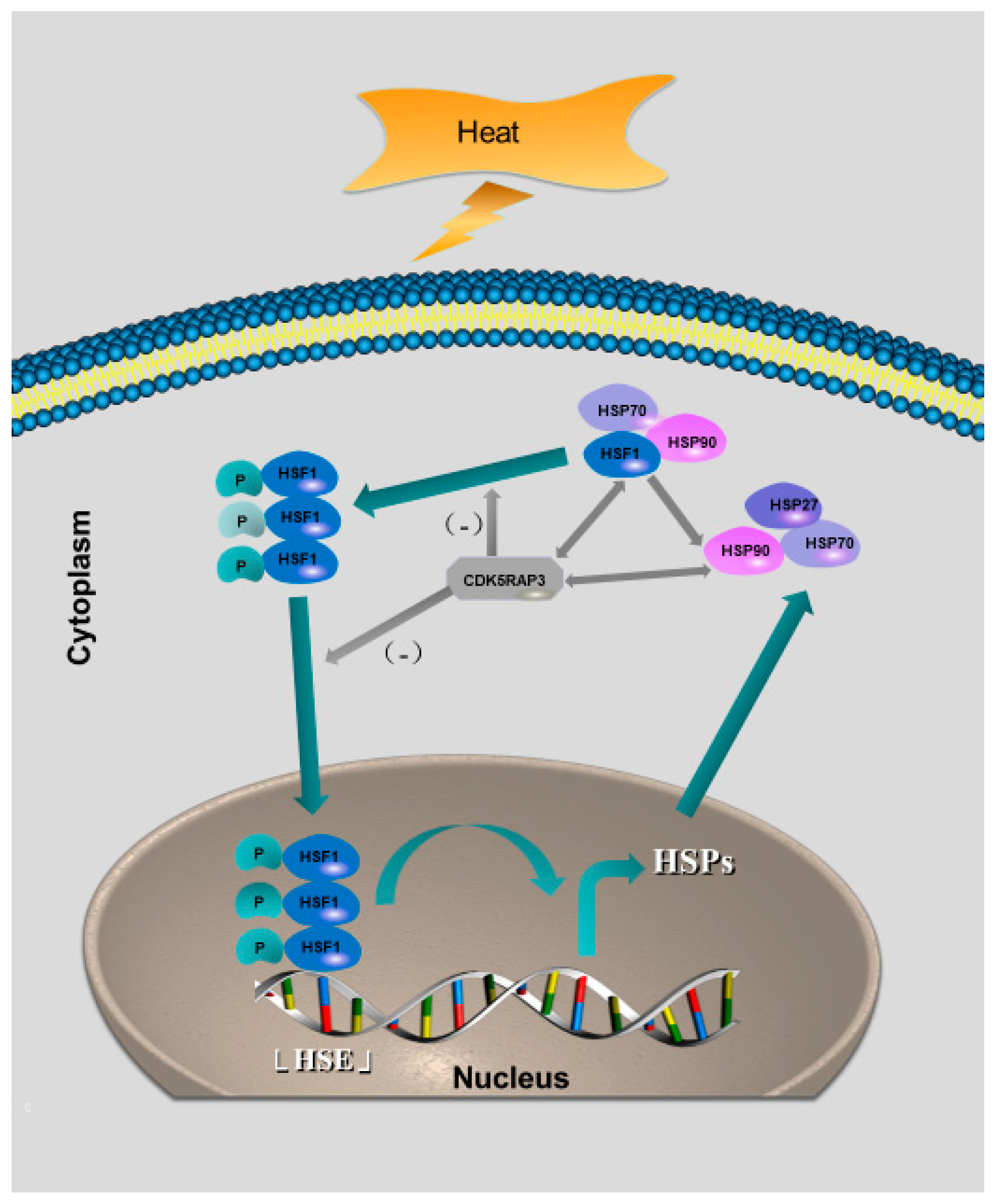 Ijms 21 08400 g006 Ijms 21 08400 g006