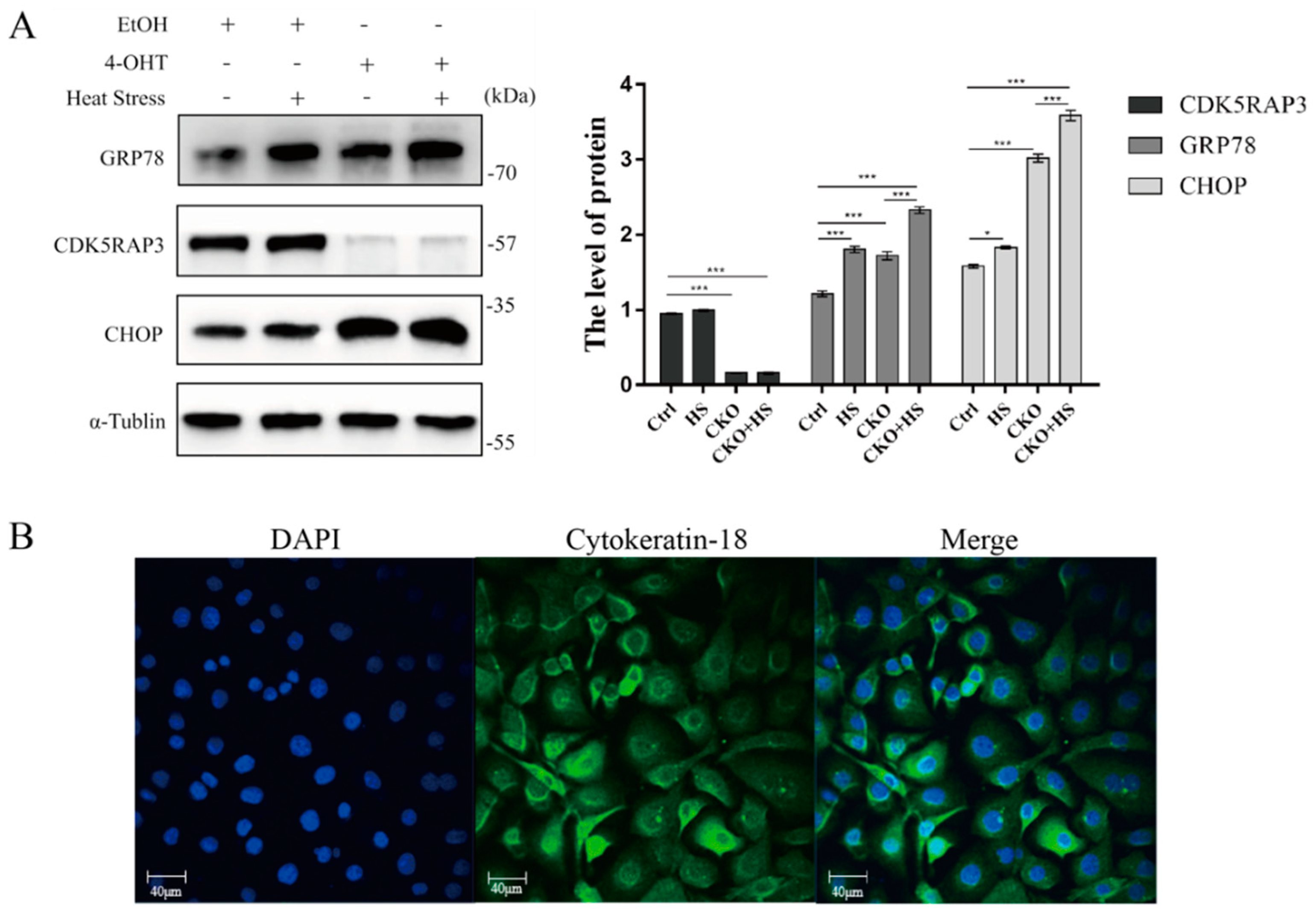 Ijms 21 08400 g009 Ijms 21 08400 g009