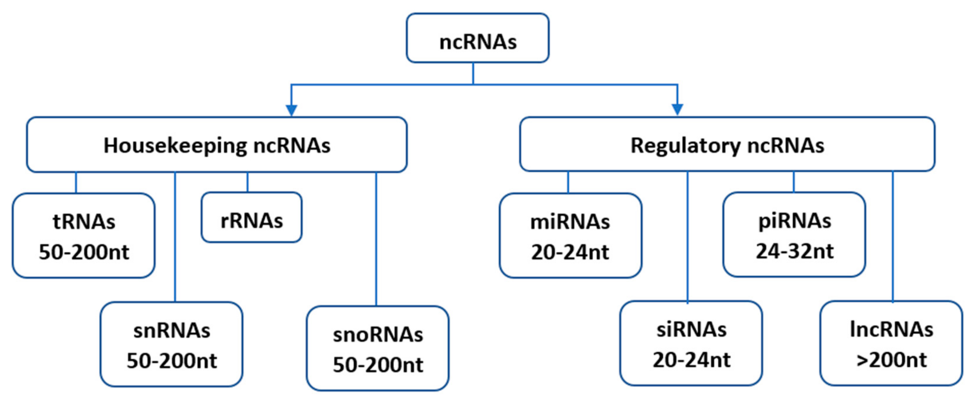 https://www.mdpi.com/ijms/ijms-21-08401/article_deploy/html/images/ijms-21-08401-g001.png