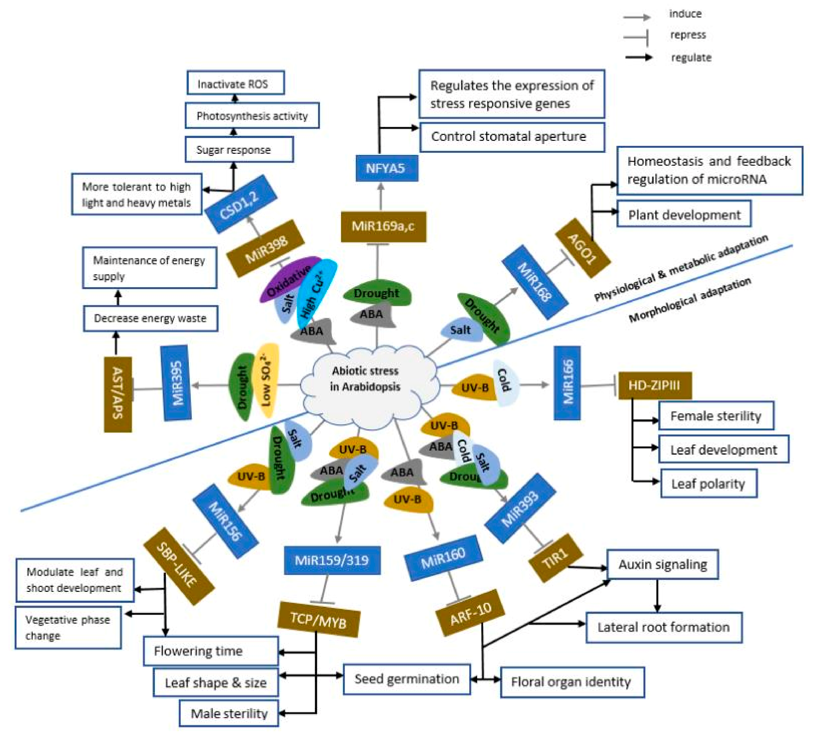 Ijms 21 08401 g007 Ijms 21 08401 g007