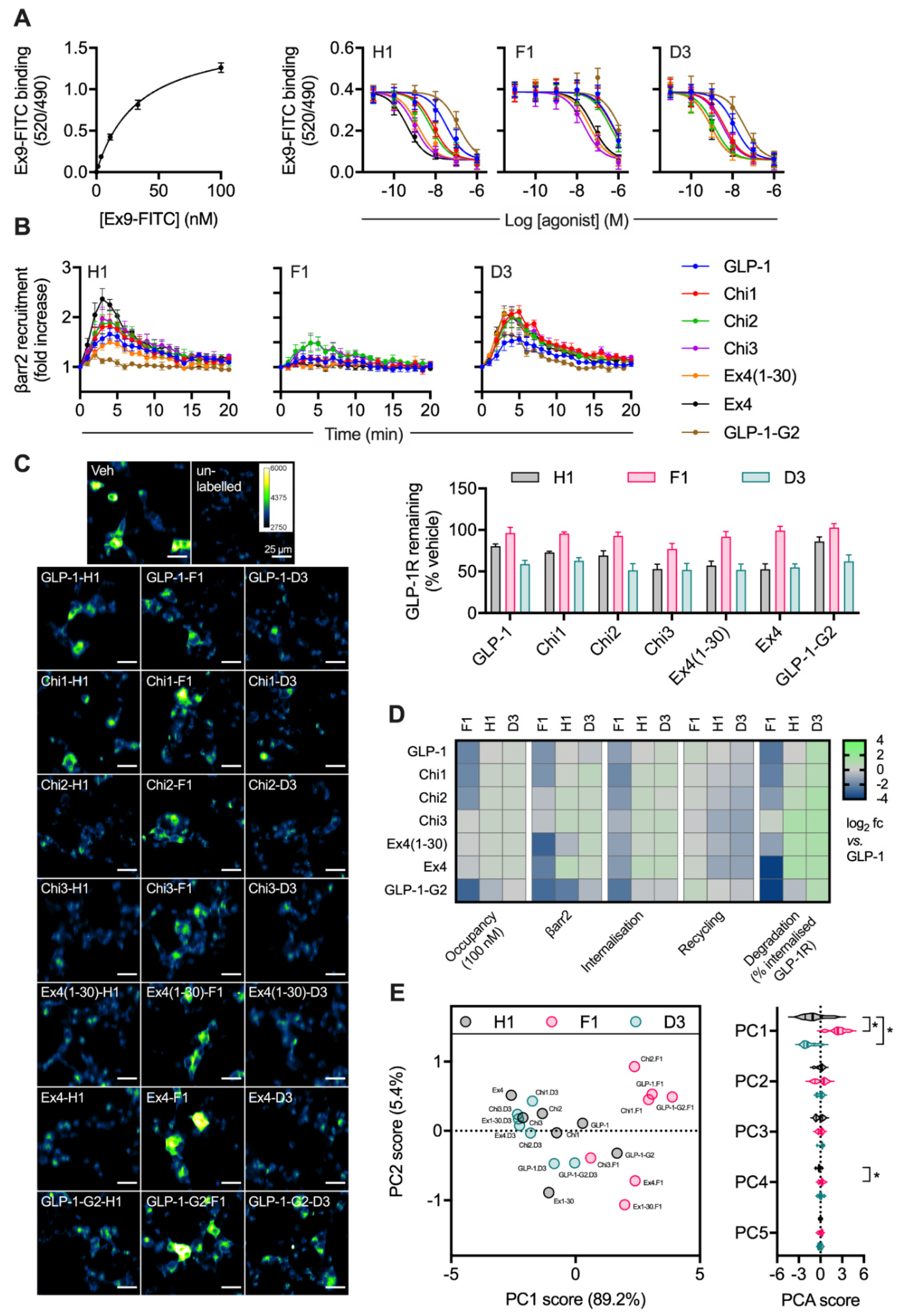 Ijms 21 08404 g003 Ijms 21 08404 g003