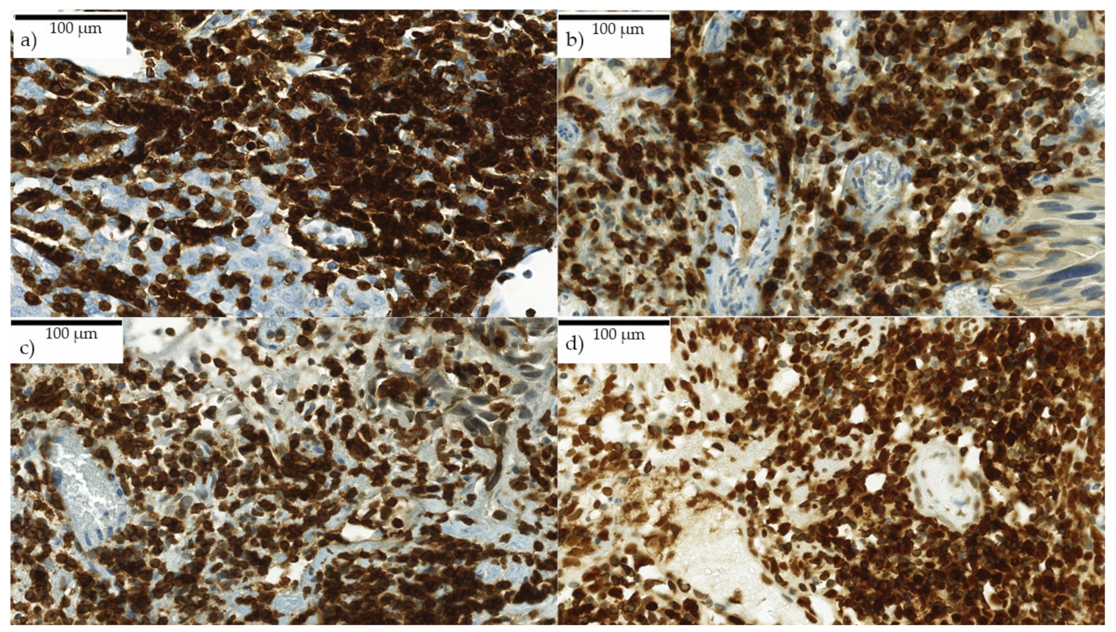 Ijms 21 08407 g005 Ijms 21 08407 g005