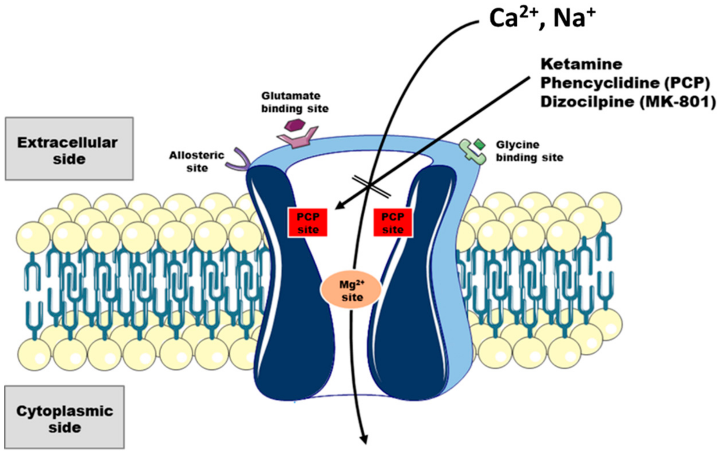 Ijms 21 08410 g001 Ijms 21 08410 g001