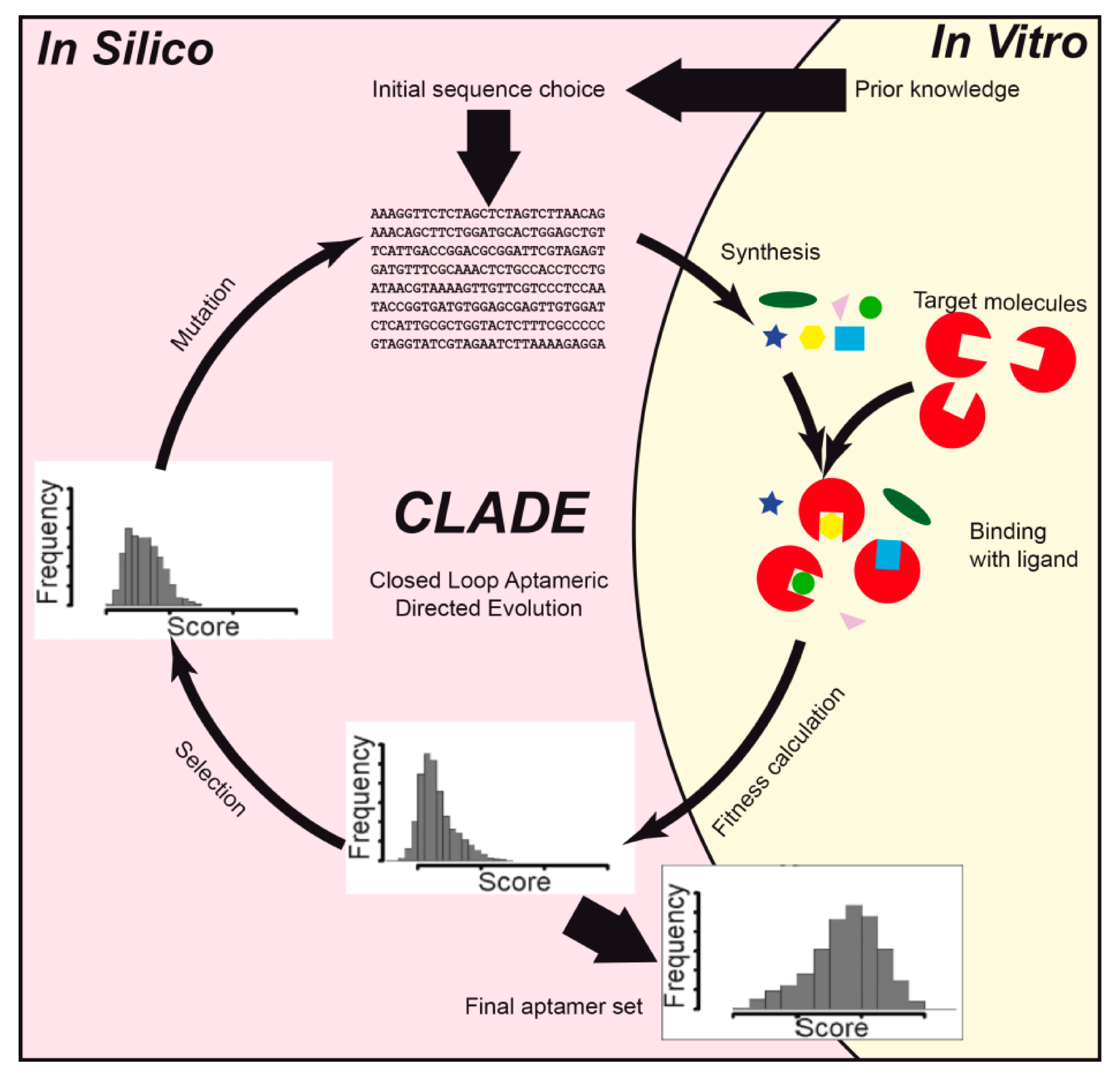 Ijms 21 08420 g003 Ijms 21 08420 g003