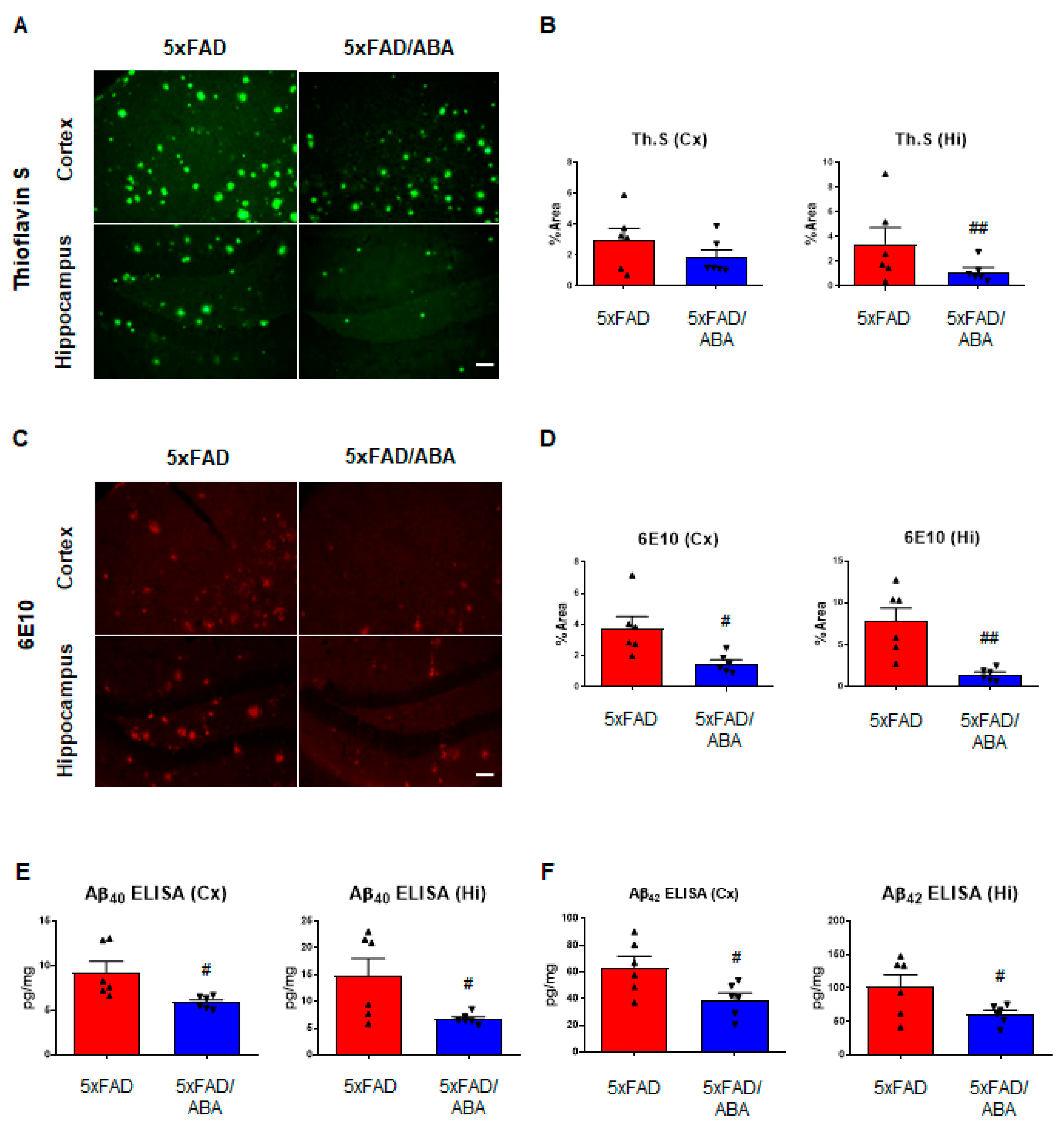 Ijms 21 08425 g002 Ijms 21 08425 g002