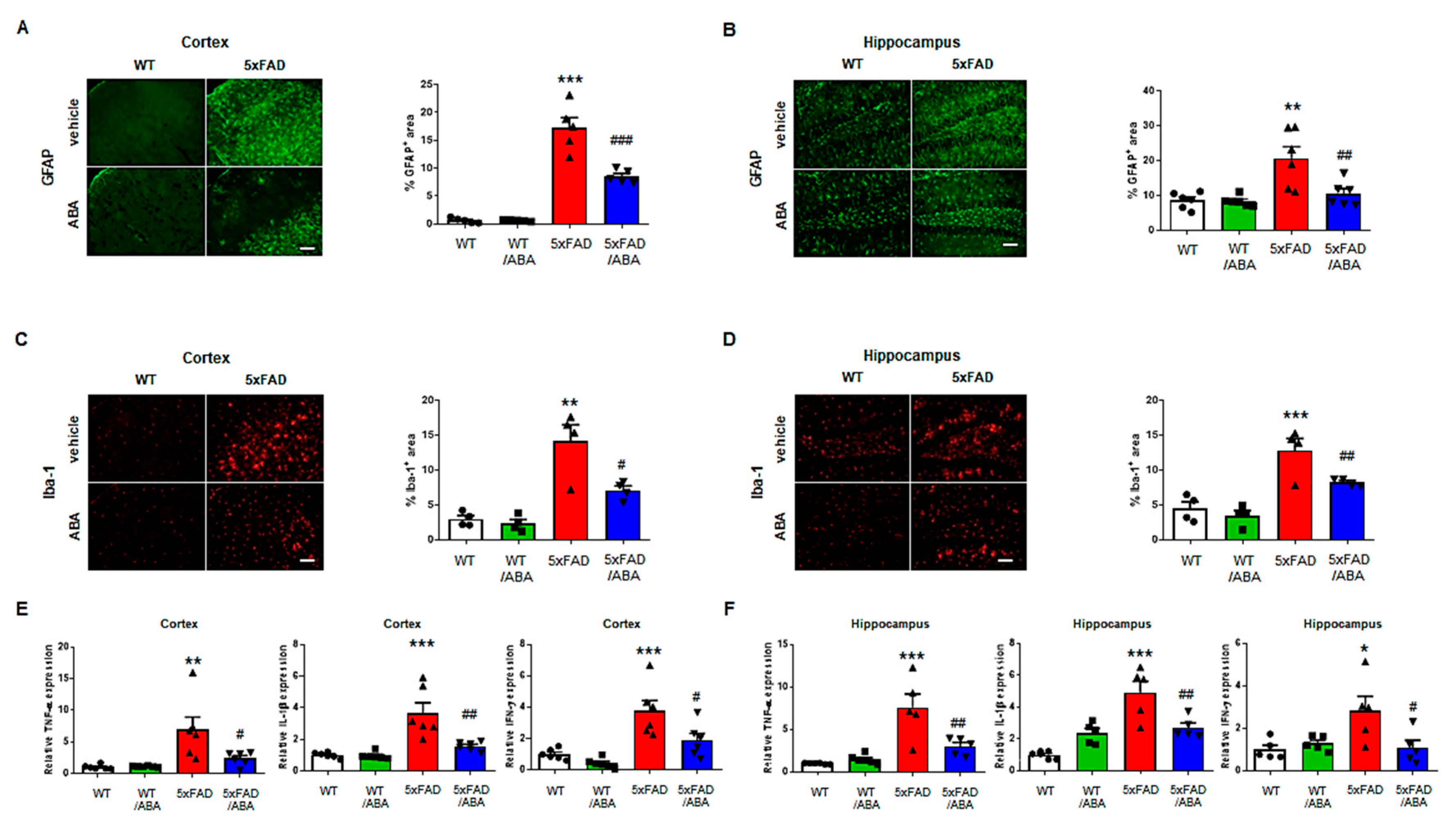 Ijms 21 08425 g004 Ijms 21 08425 g004