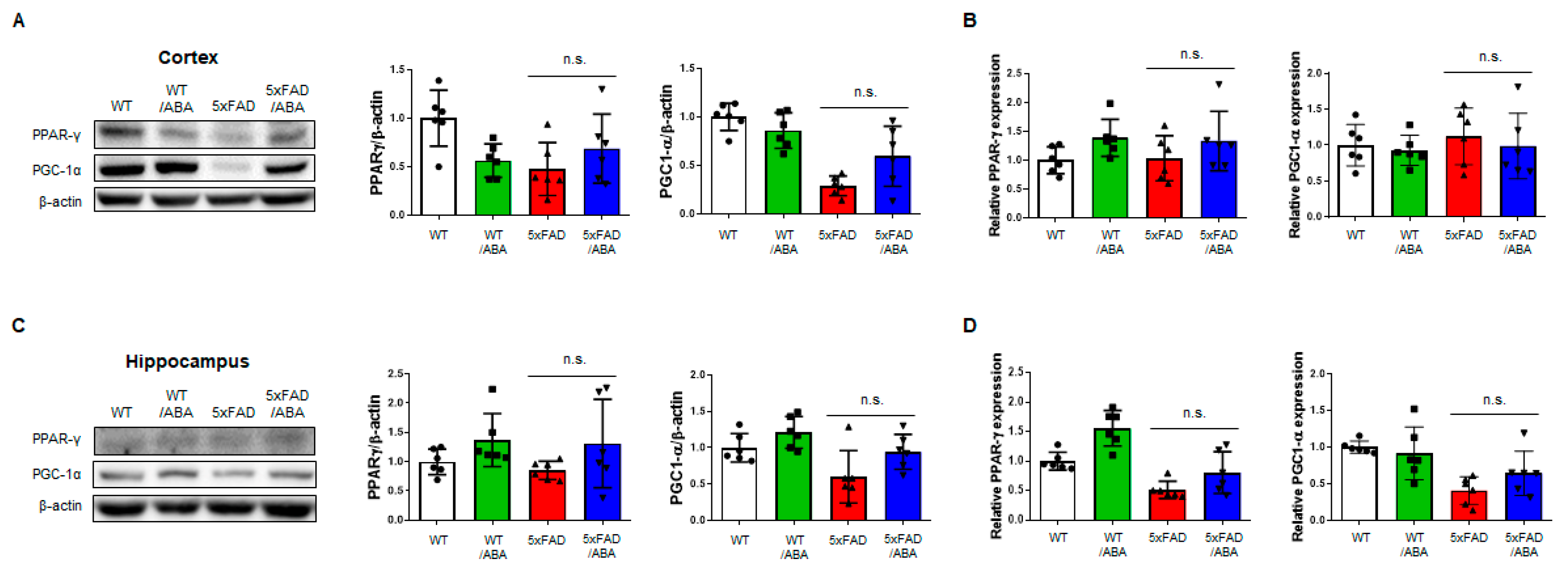 Ijms 21 08425 g005 Ijms 21 08425 g005