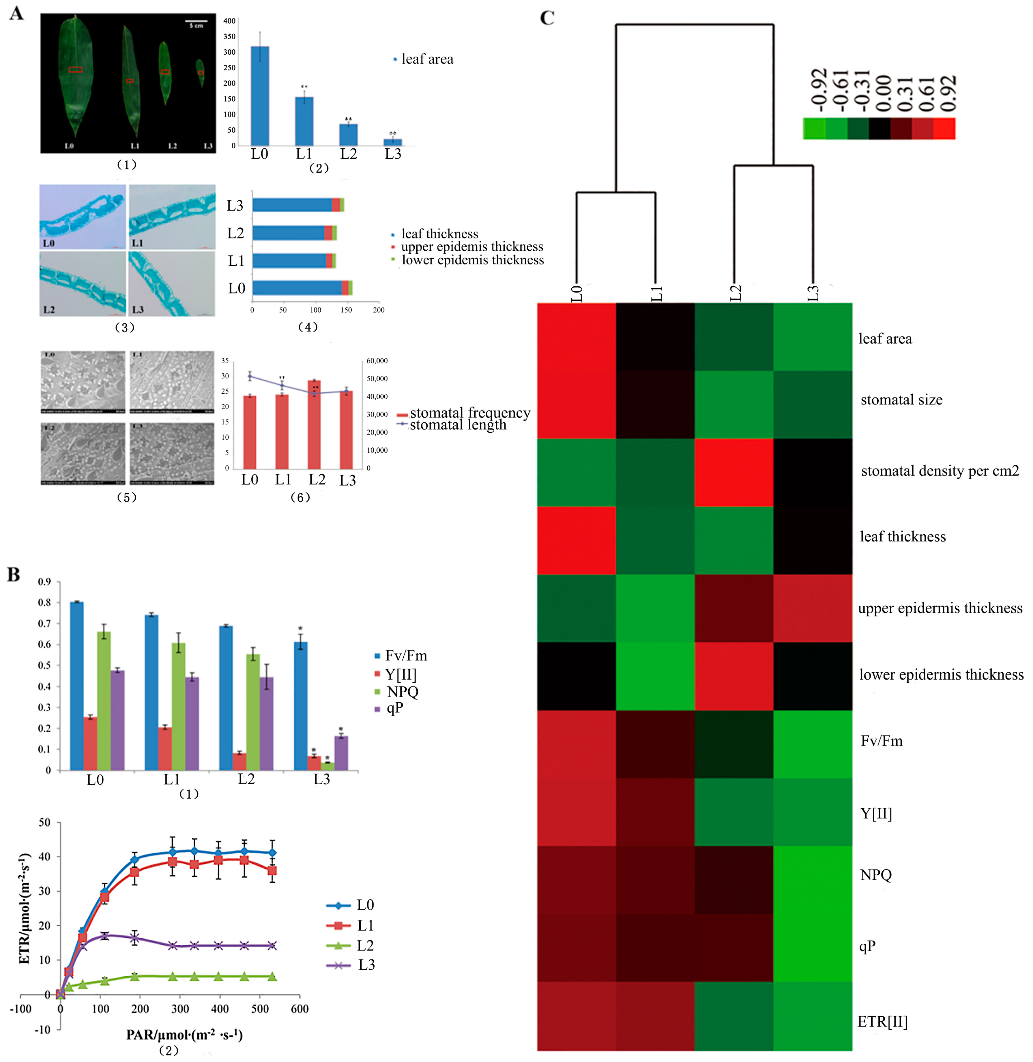 Ijms 21 08430 g002 Ijms 21 08430 g002