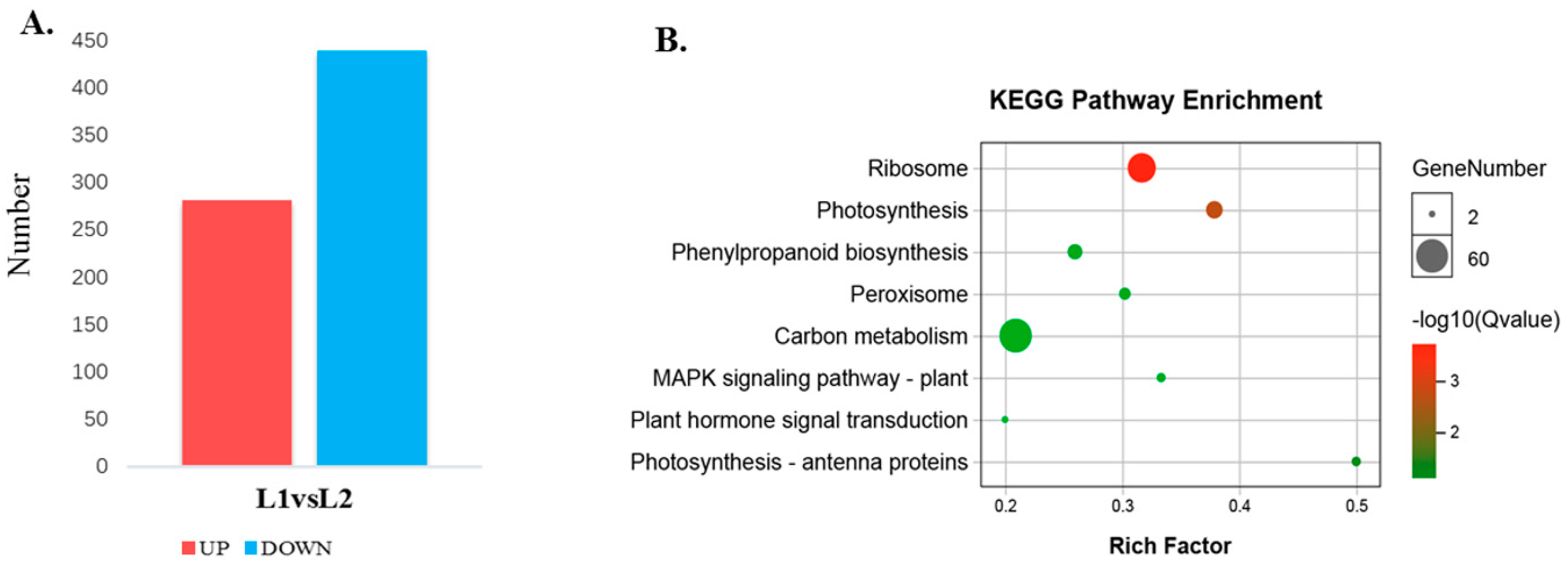Ijms 21 08430 g006 Ijms 21 08430 g006