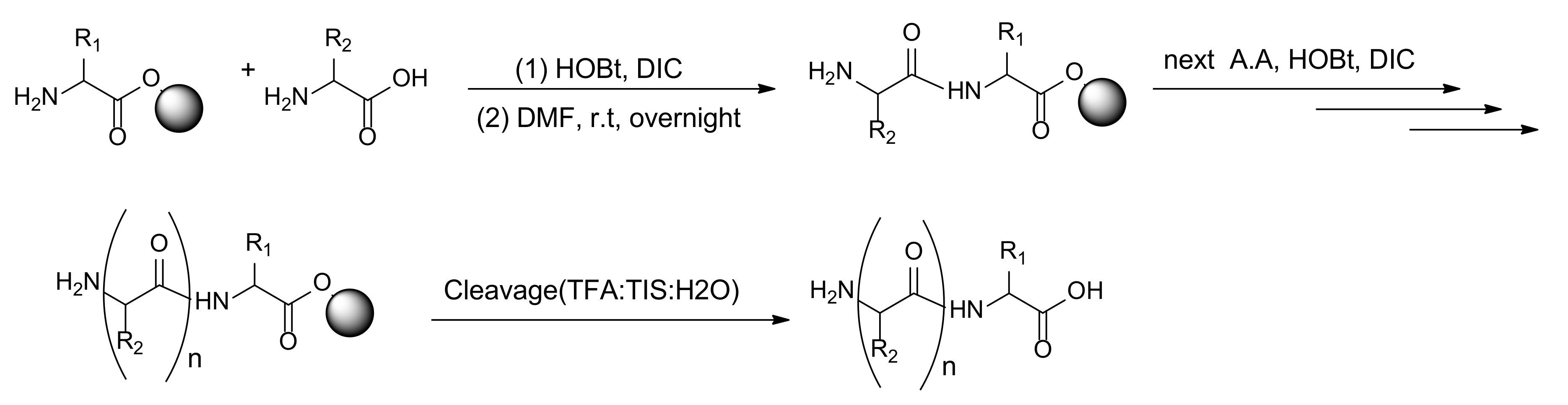 Ijms 21 08439 sch001