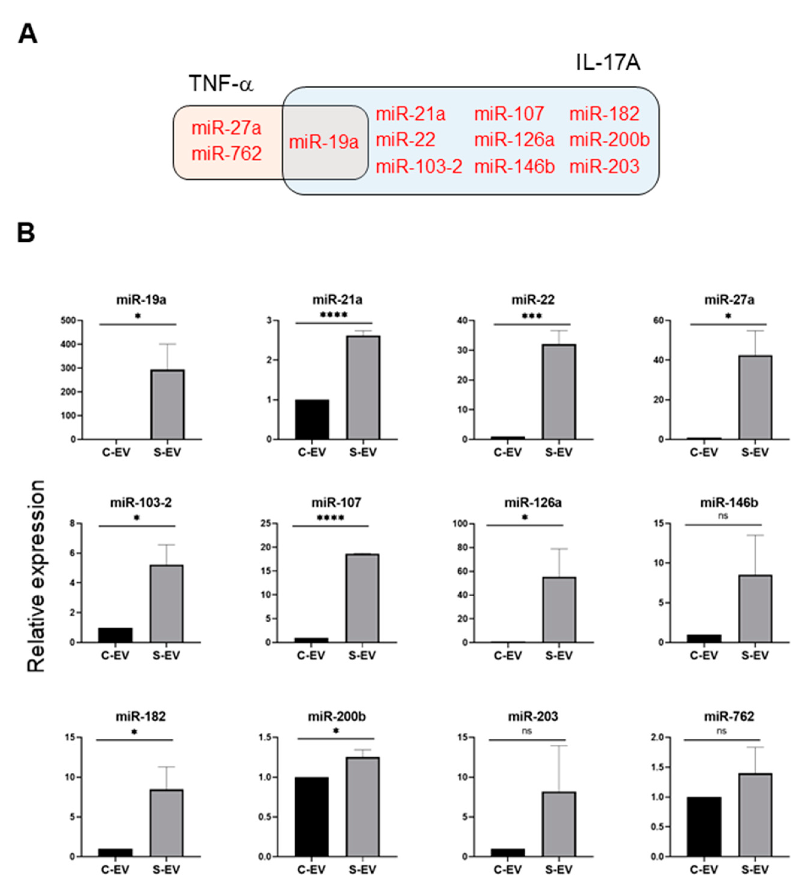 Ijms 21 08445 g004 Ijms 21 08445 g004