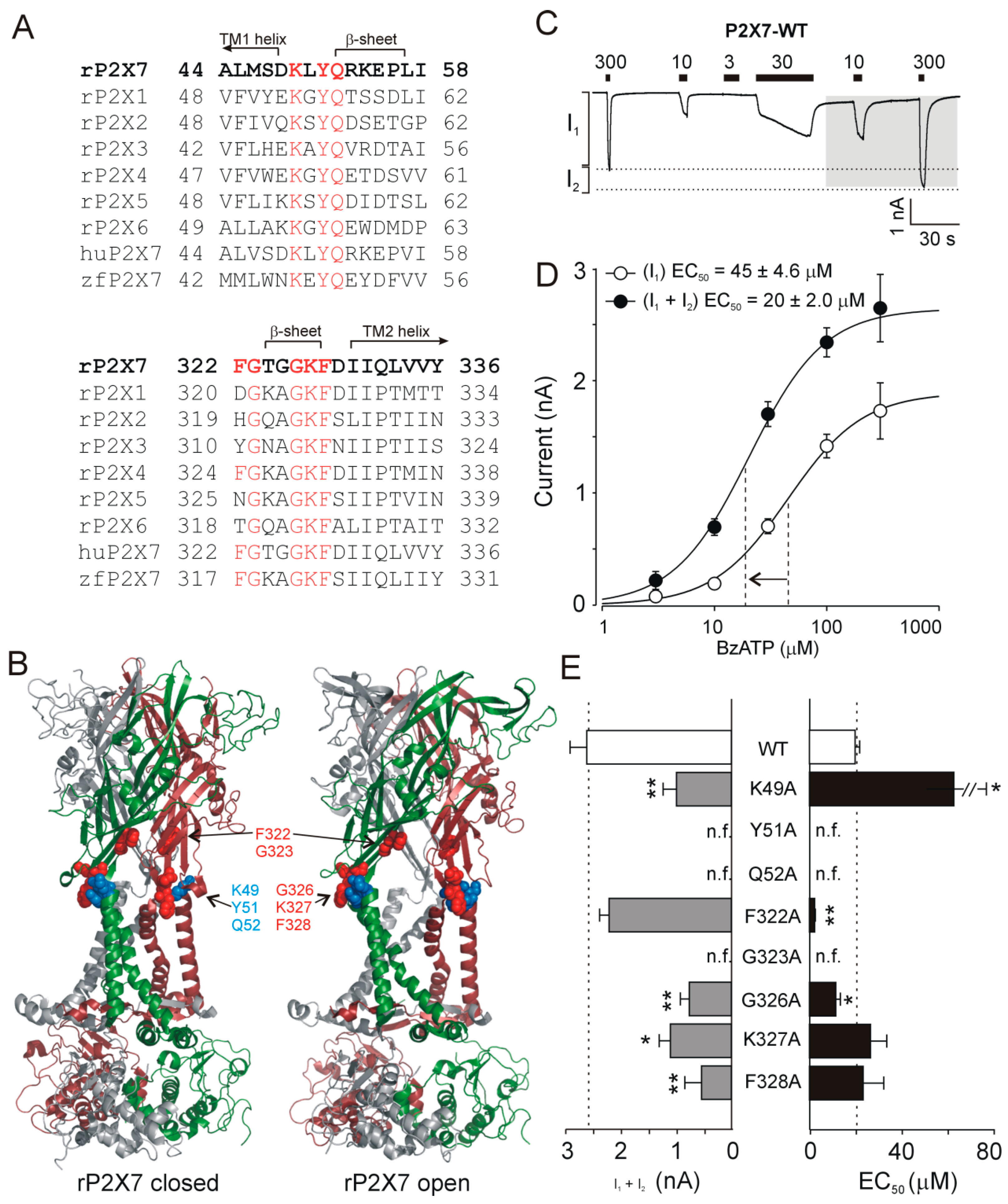 Ijms 21 08446 g001 Ijms 21 08446 g001