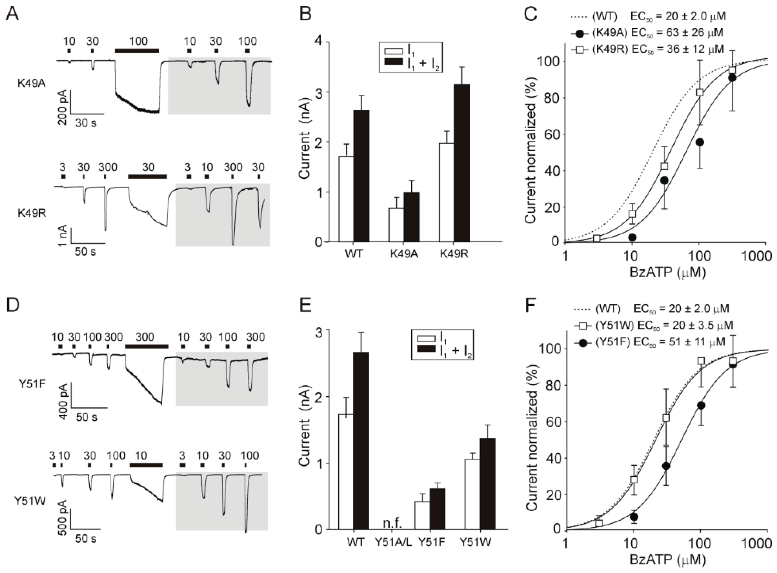 Ijms 21 08446 g003 Ijms 21 08446 g003
