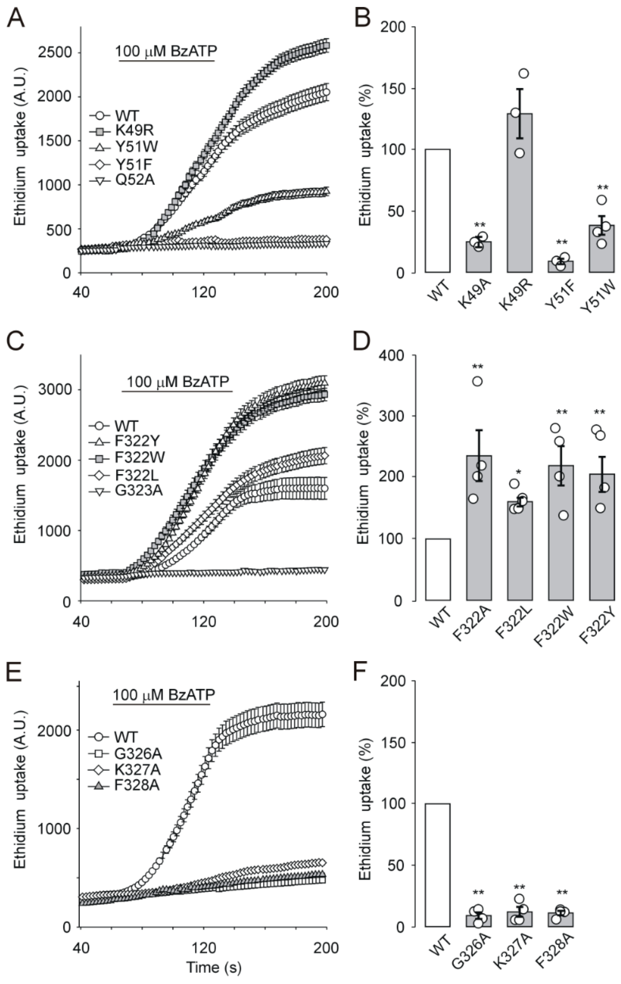 Ijms 21 08446 g005 Ijms 21 08446 g005