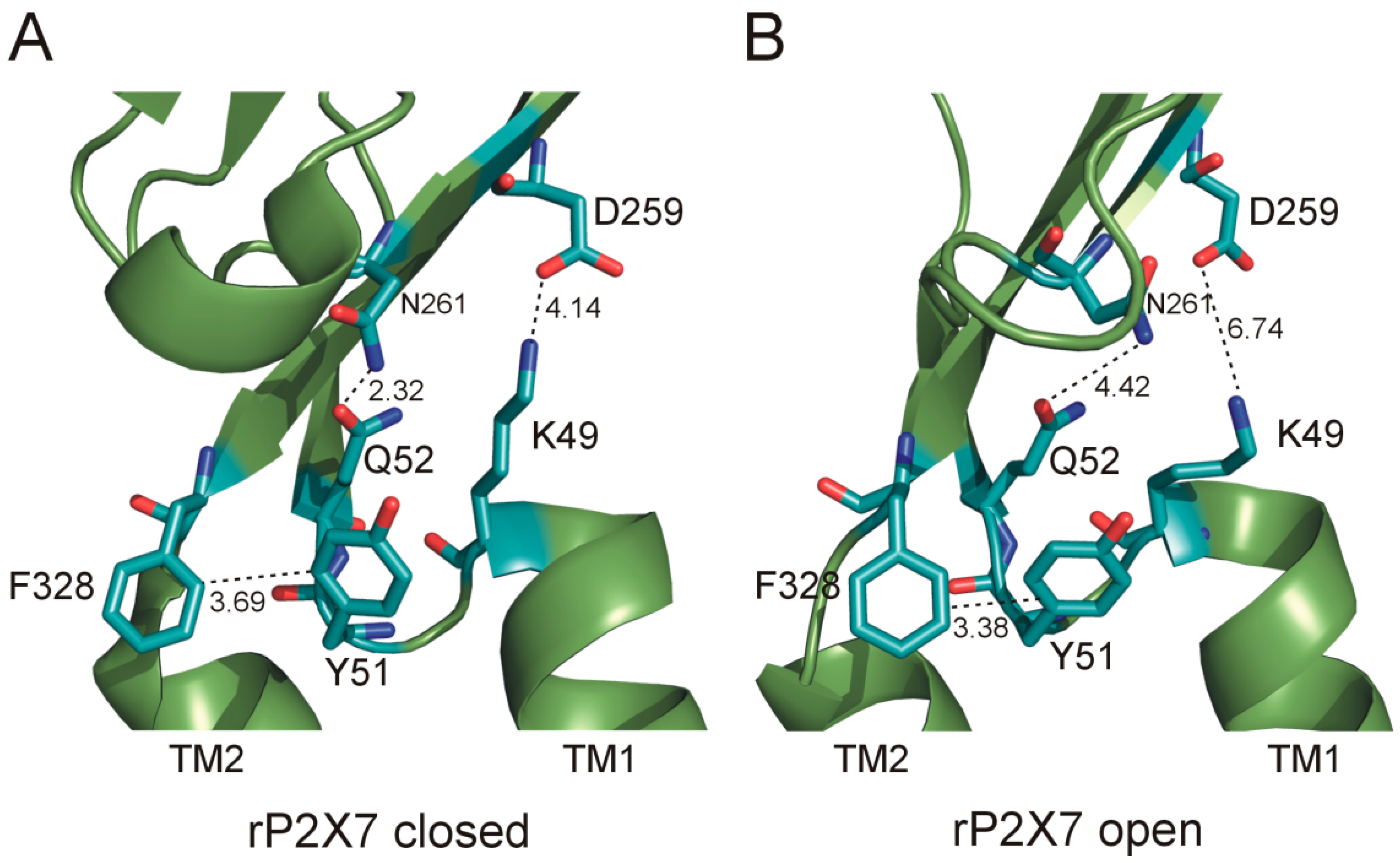 Ijms 21 08446 g006 Ijms 21 08446 g006