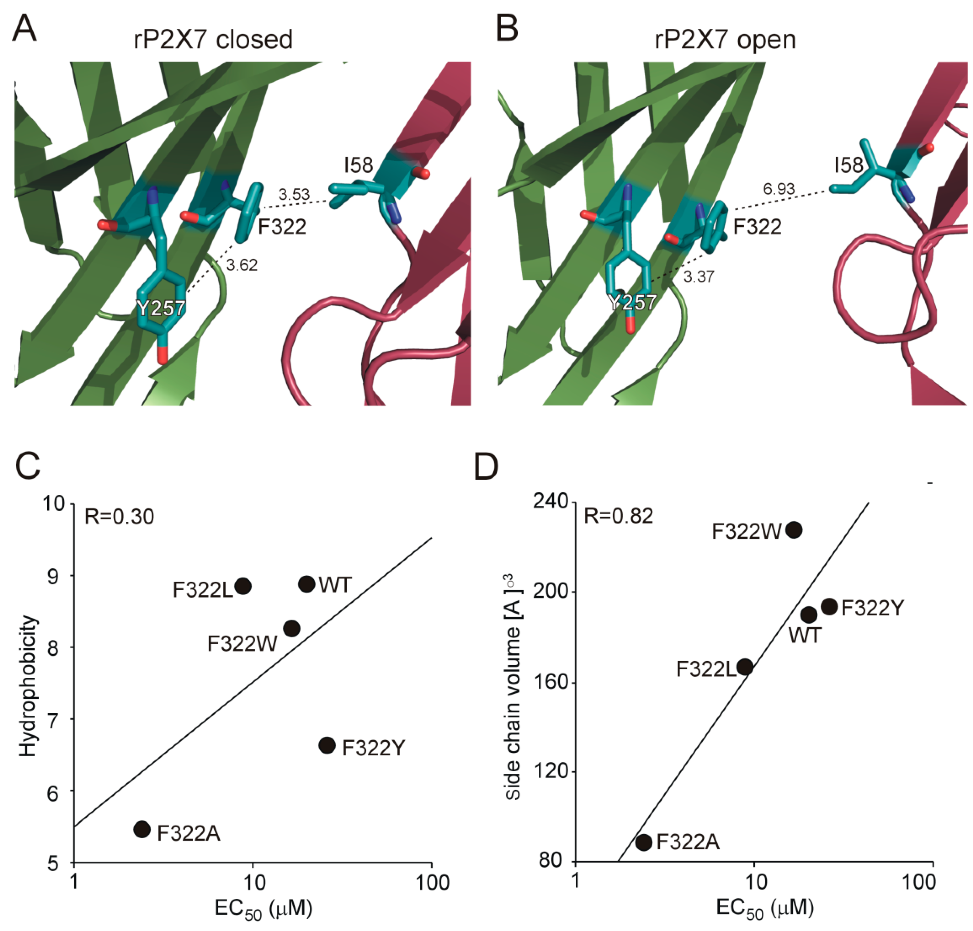 Ijms 21 08446 g007 Ijms 21 08446 g007