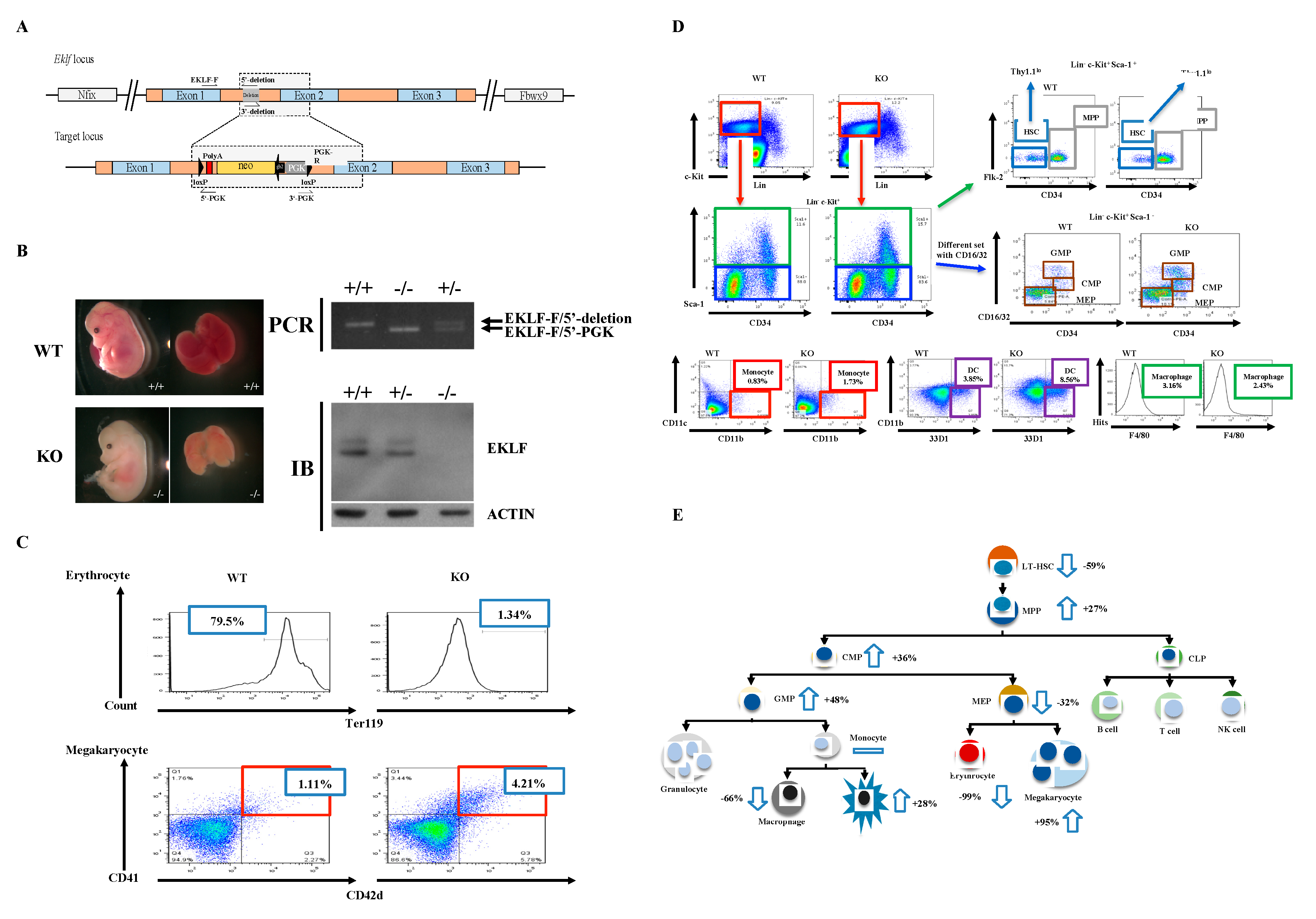 Ijms 21 08448 g001 Ijms 21 08448 g001
