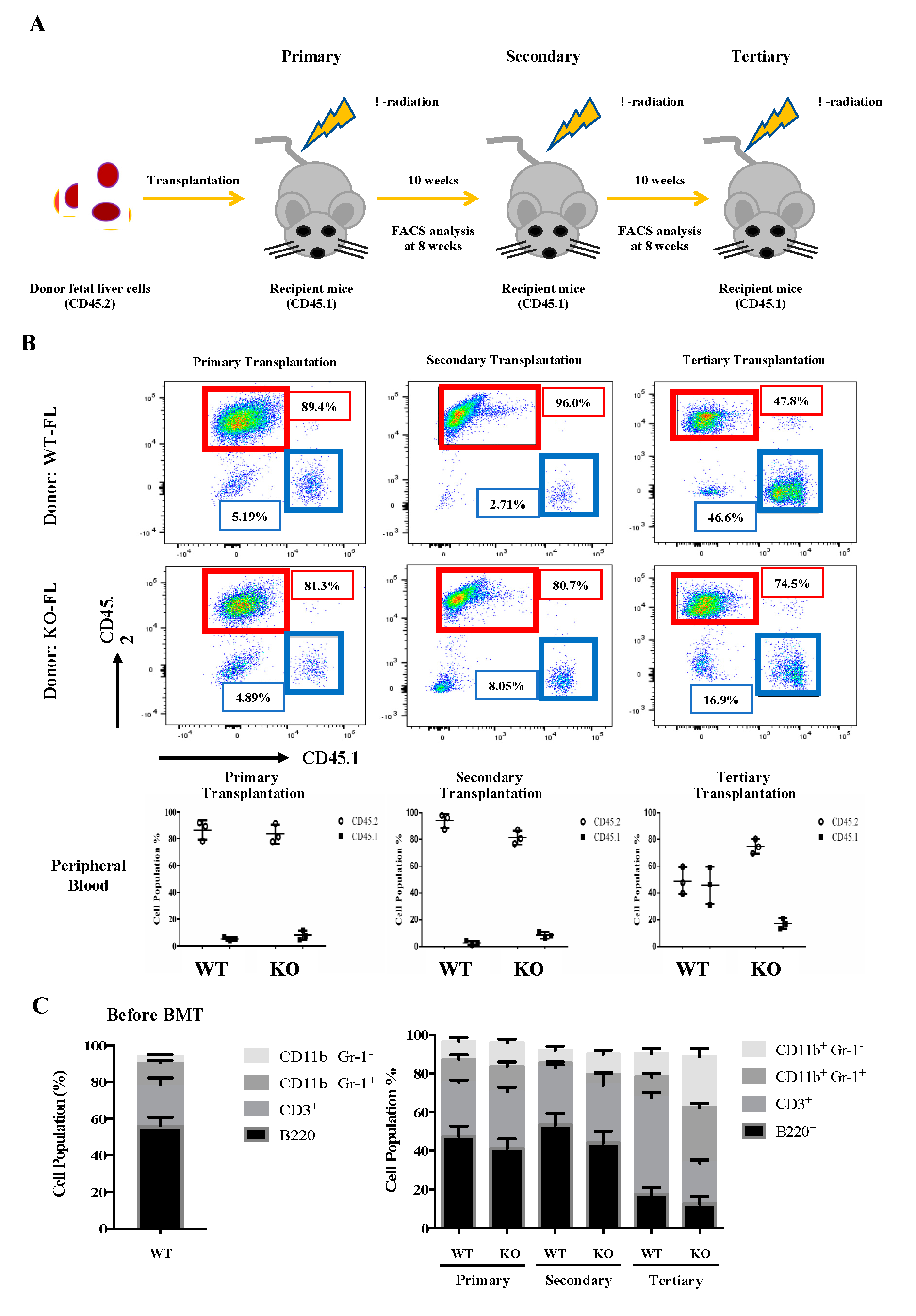 Ijms 21 08448 g003 Ijms 21 08448 g003