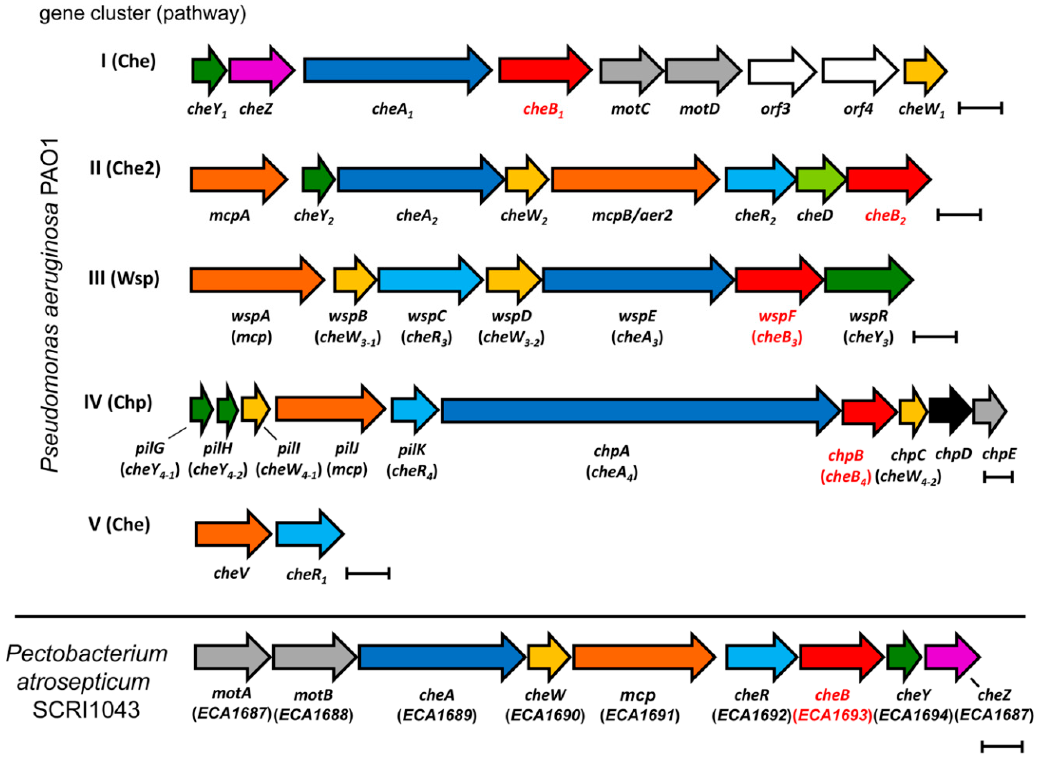Ijms 21 08459 g001 Ijms 21 08459 g001