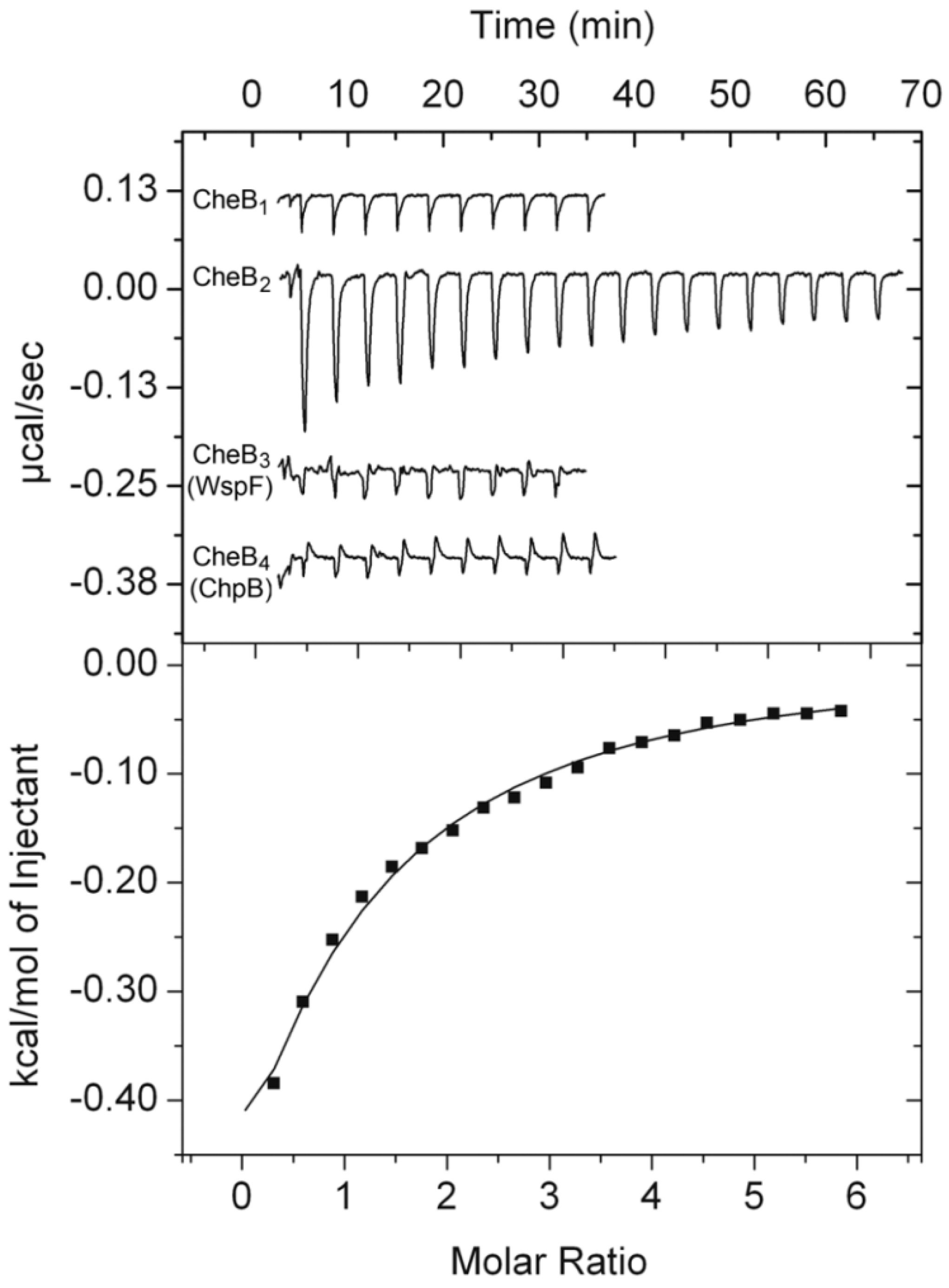 Ijms 21 08459 g002 Ijms 21 08459 g002
