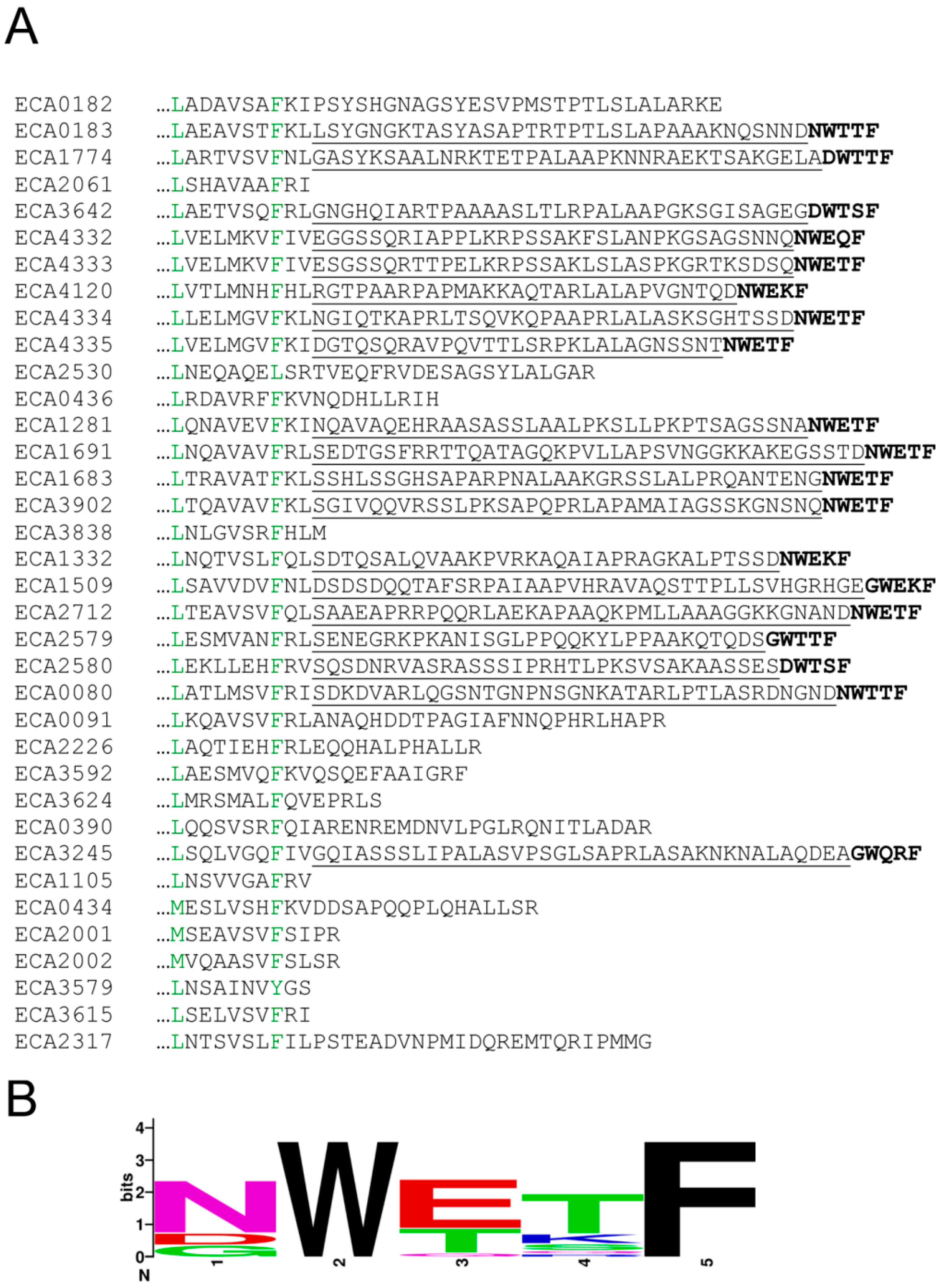 Ijms 21 08459 g005 Ijms 21 08459 g005