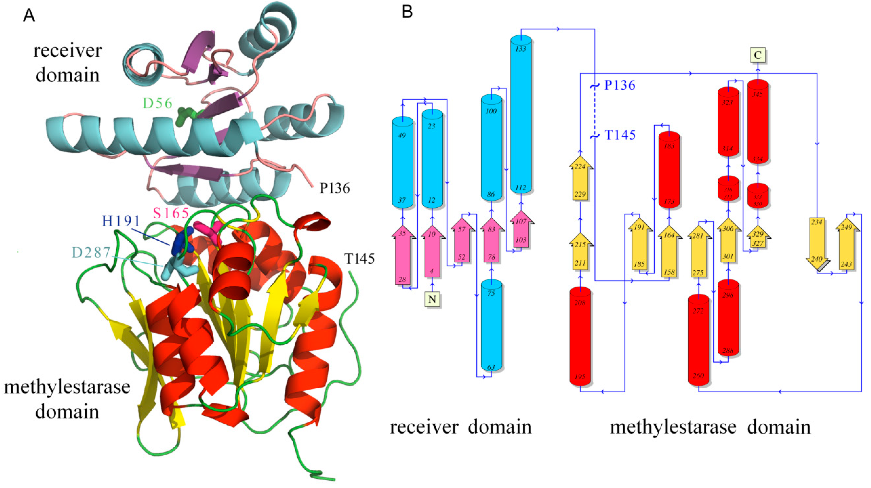 Ijms 21 08459 g006 Ijms 21 08459 g006