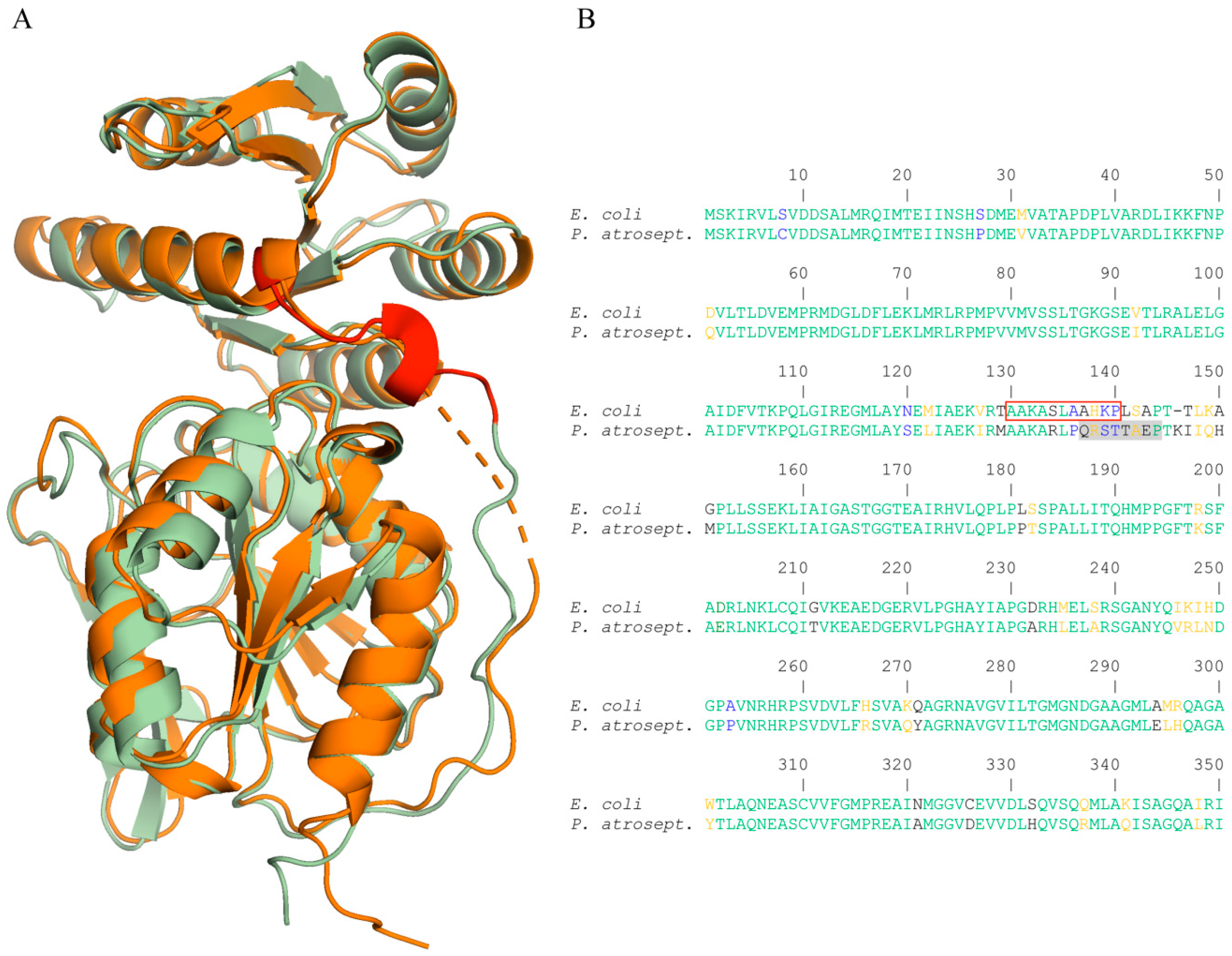 Ijms 21 08459 g007 Ijms 21 08459 g007