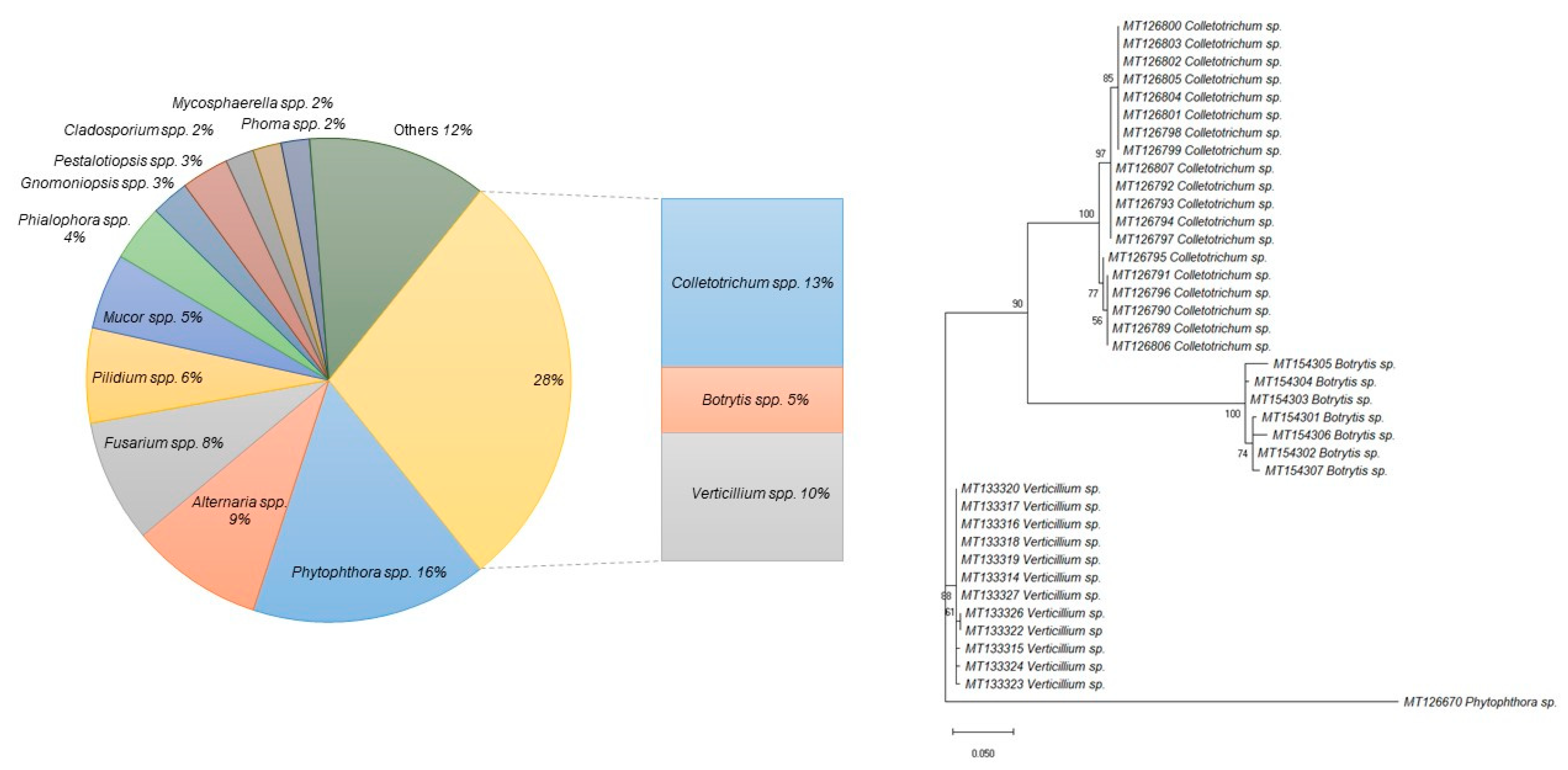 Ijms 21 08469 g001 Ijms 21 08469 g001