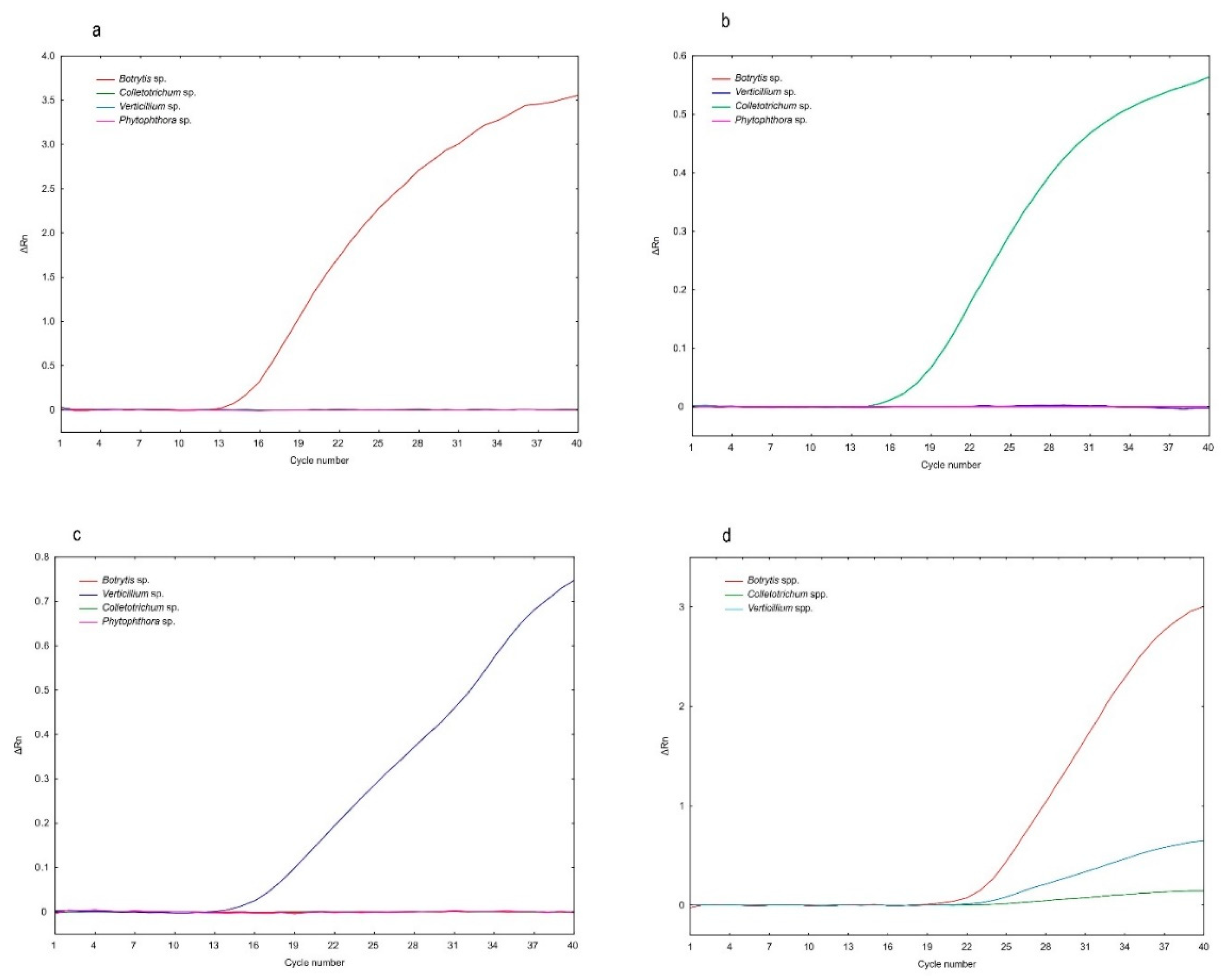 Ijms 21 08469 g002 Ijms 21 08469 g002