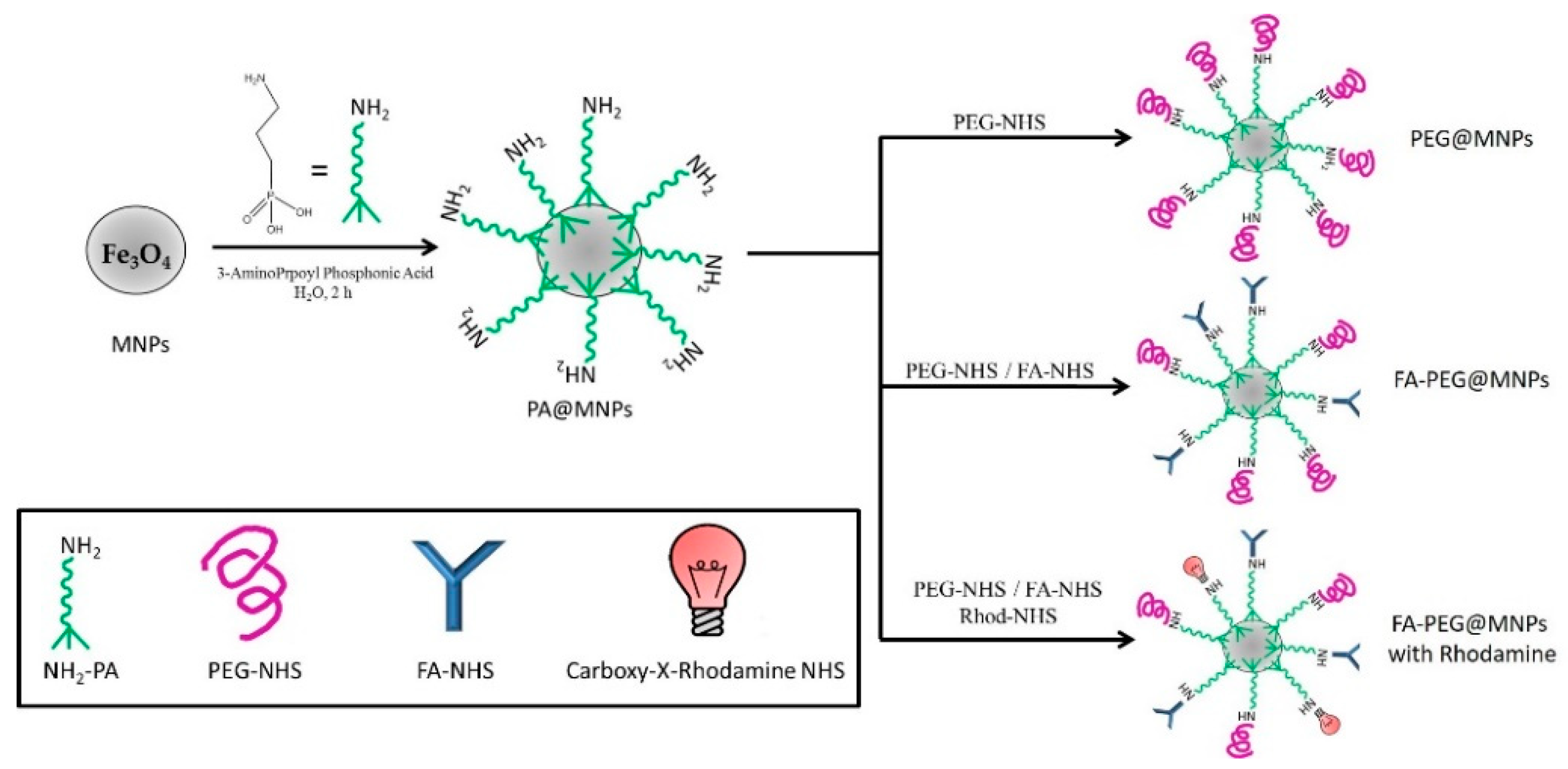 Ijms 21 08473 sch001