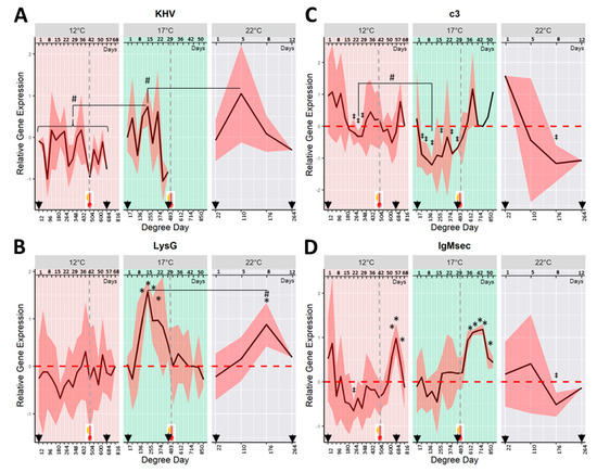 Seroconversion and Skin Mucosal Parameters during Koi